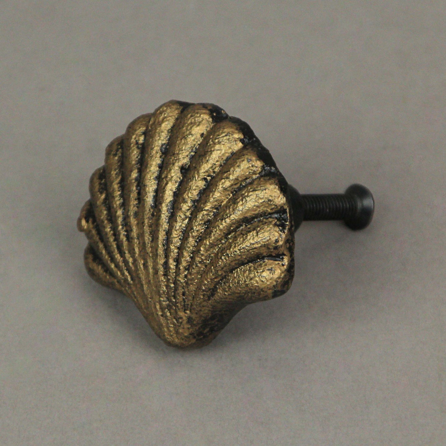 Set of 6 Gold Cast Iron Scallop Sea Shell Drawer Pulls