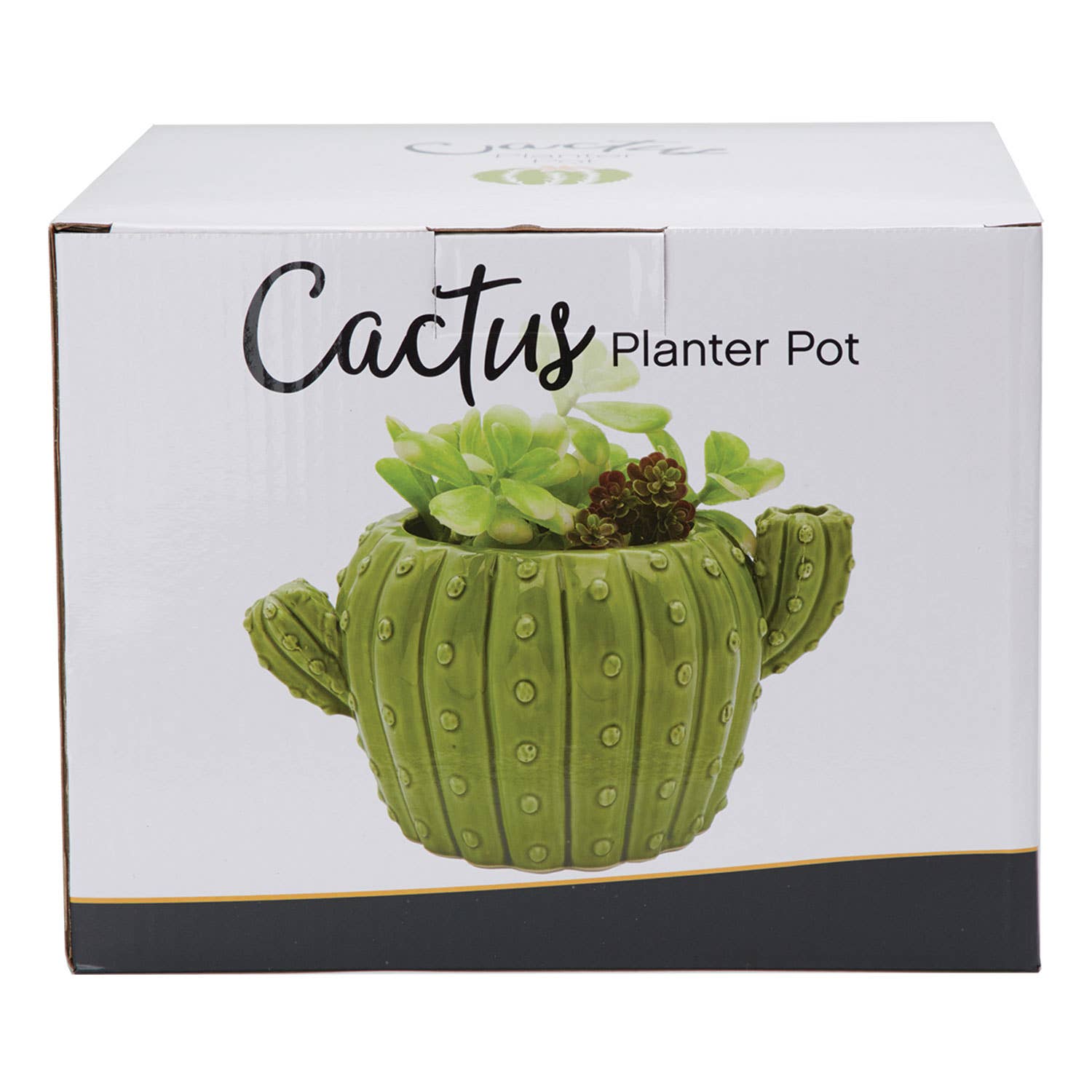 Cactus Flower Pot