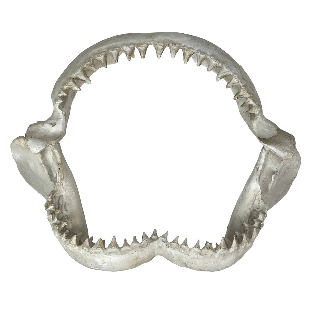 Replica Shark Jaw Wall Sculpture – Realistic Resin Shark Jaw