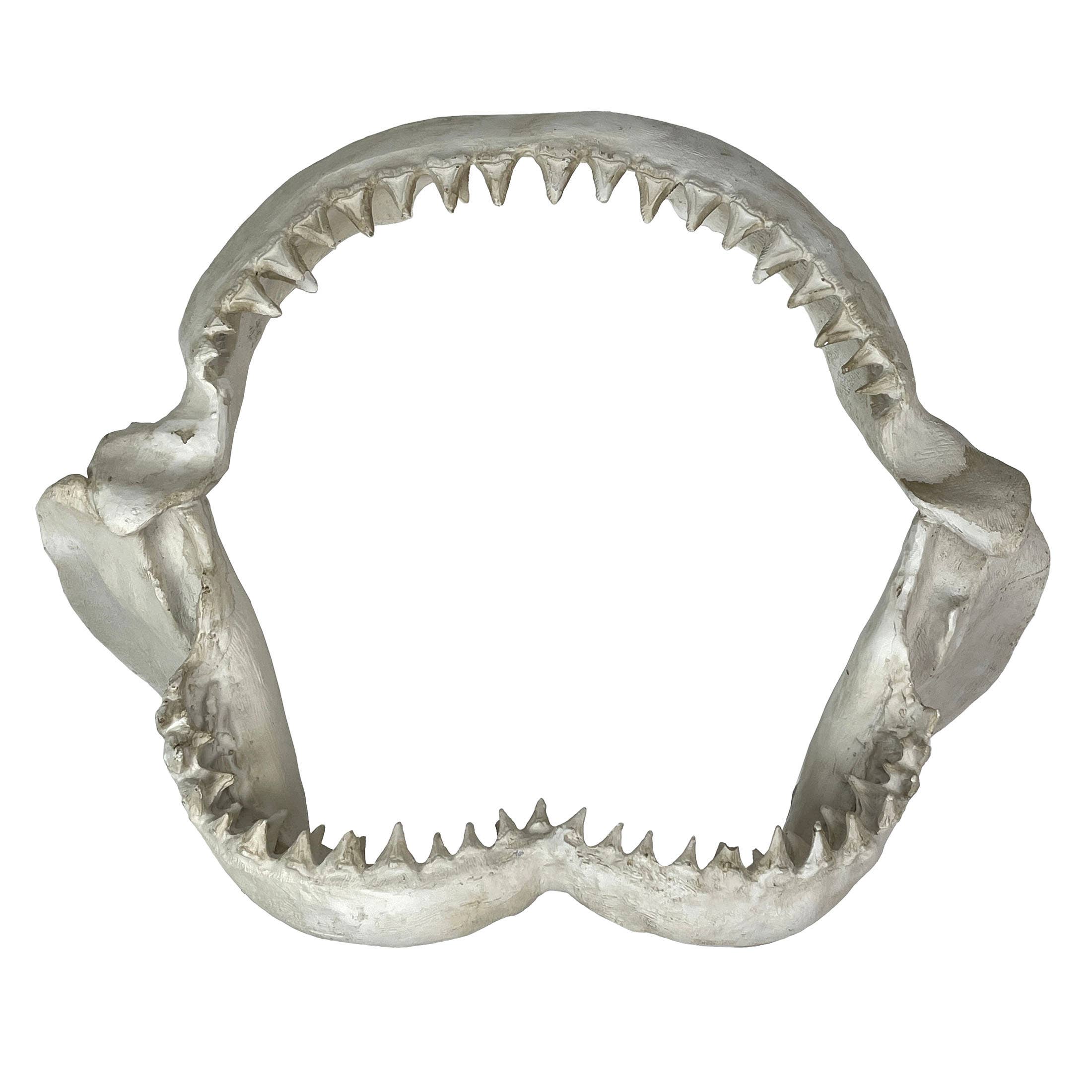 Replica Shark Jaw Wall Sculpture – Realistic Resin Shark Jaw