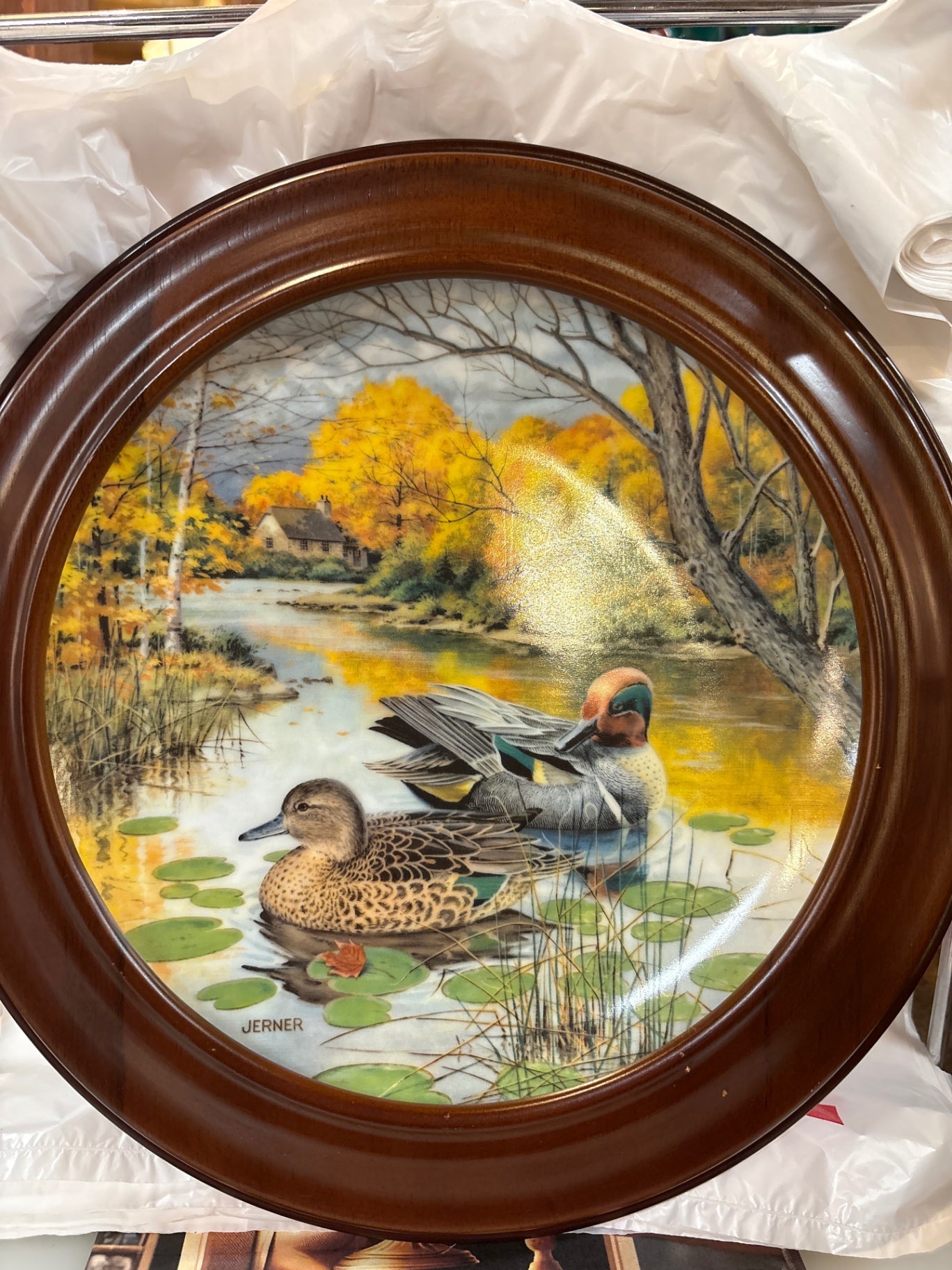 The Green Winged Teal