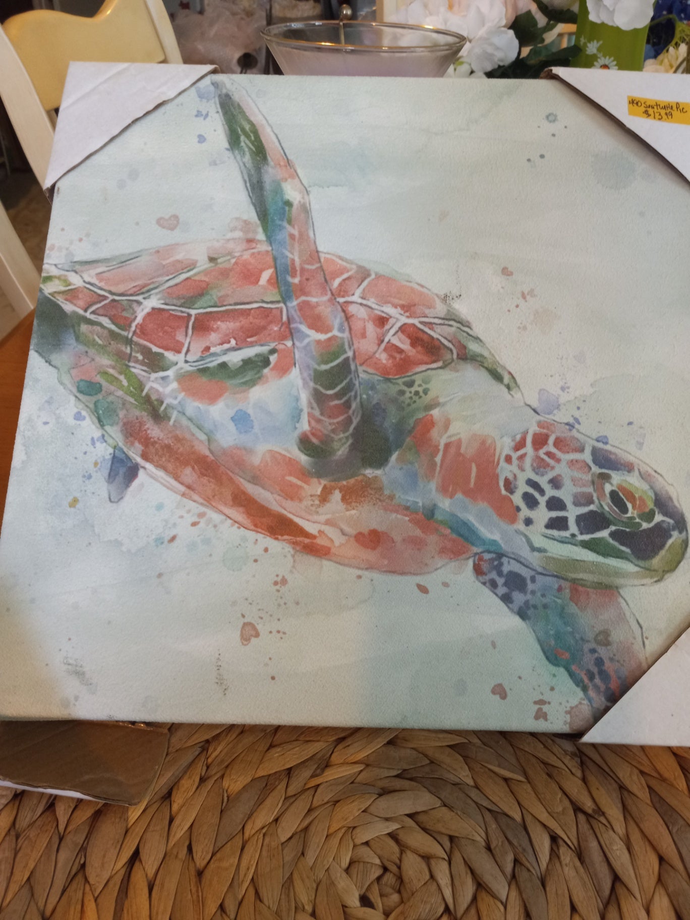 Sea Turtle picture
