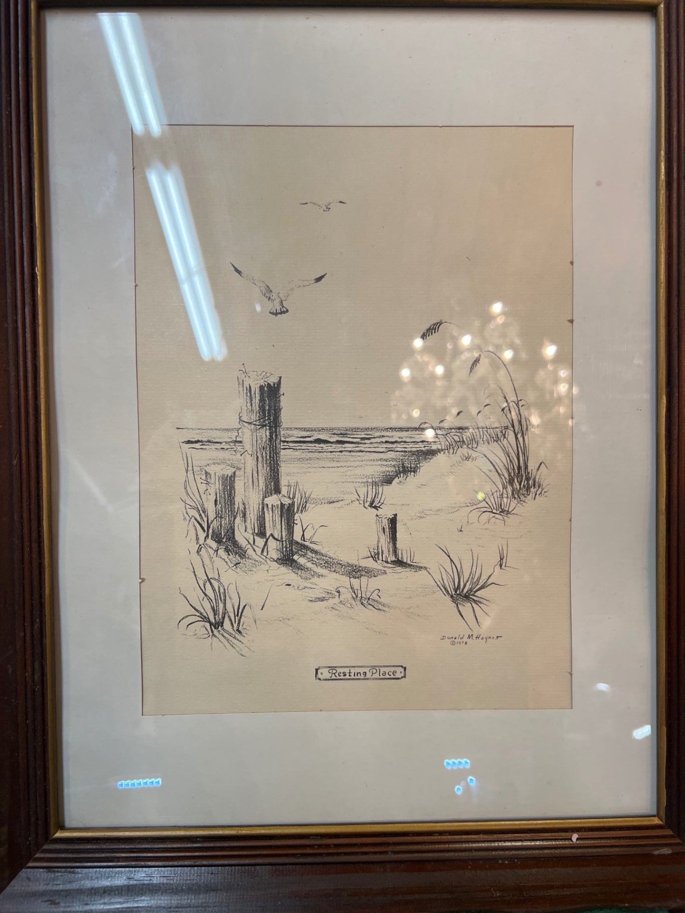 Donald M. Haynes Artwork / Illustration Black and white Paper