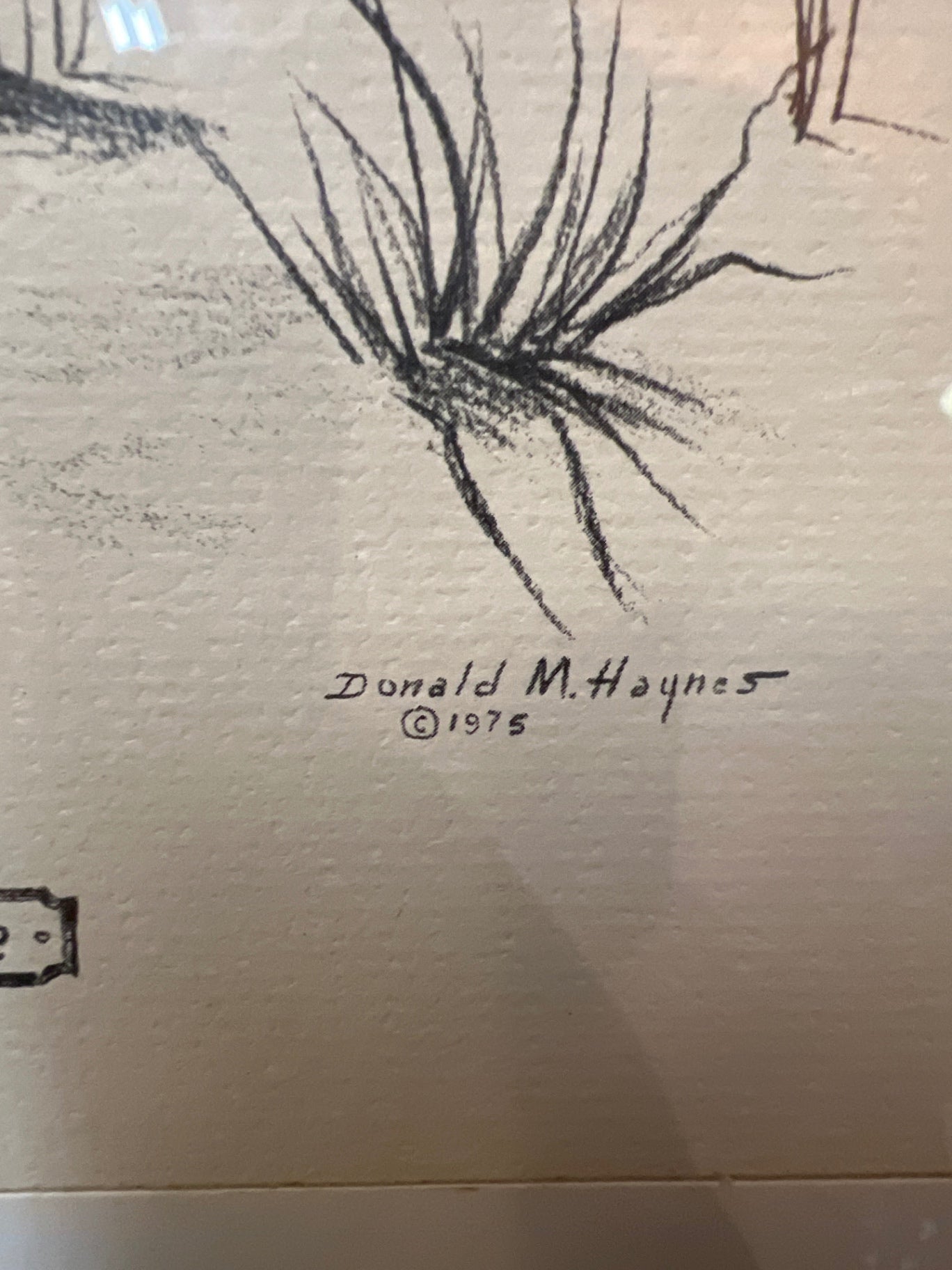 Donald M. Haynes Artwork / Illustration Black and white Paper