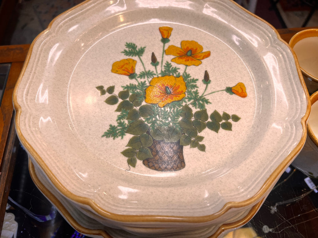 Mikasa Petunia pattern 44 piece set