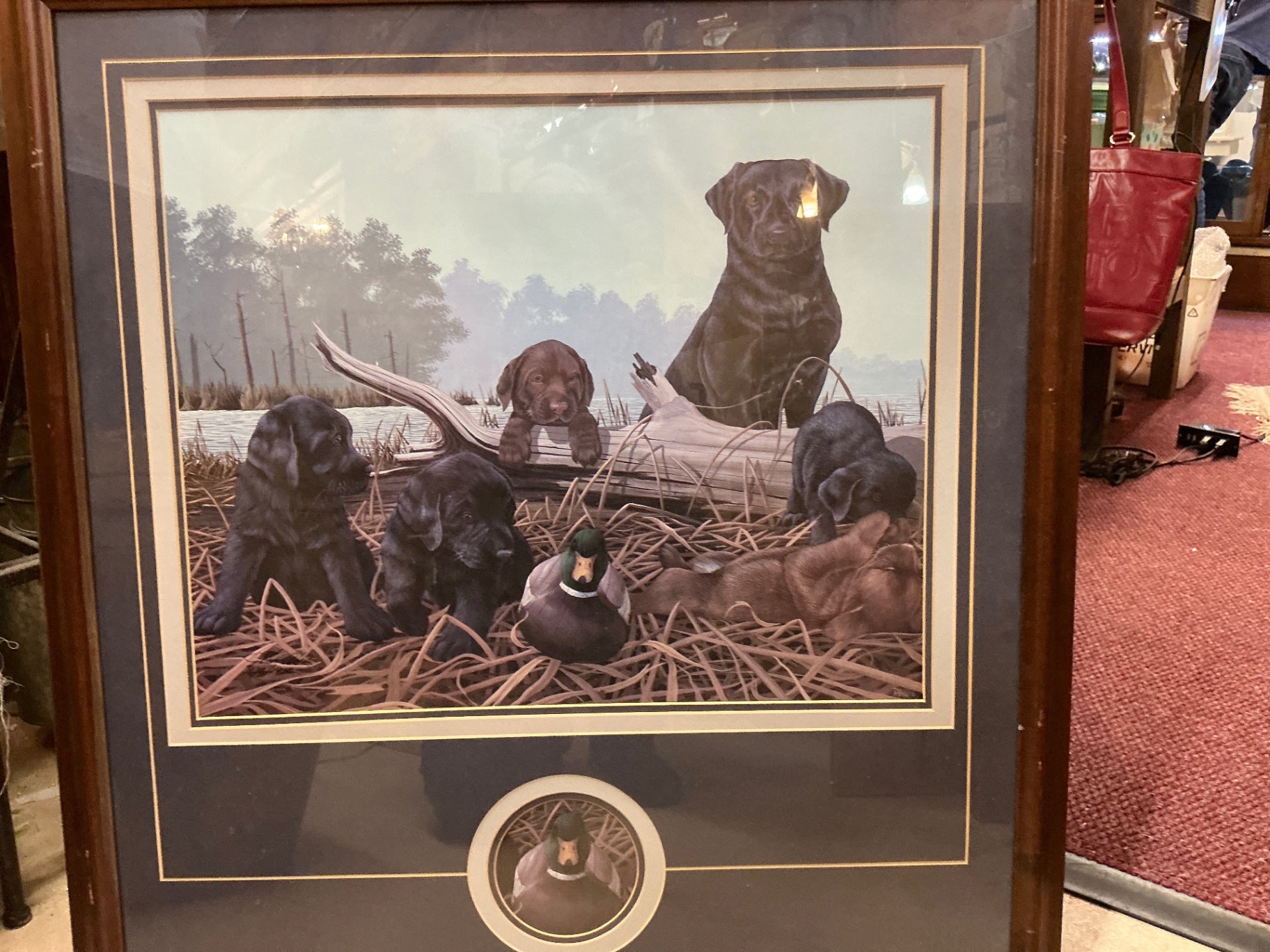 Framed Dog Artwork Multicolor Print on paper with wooden frame BCM