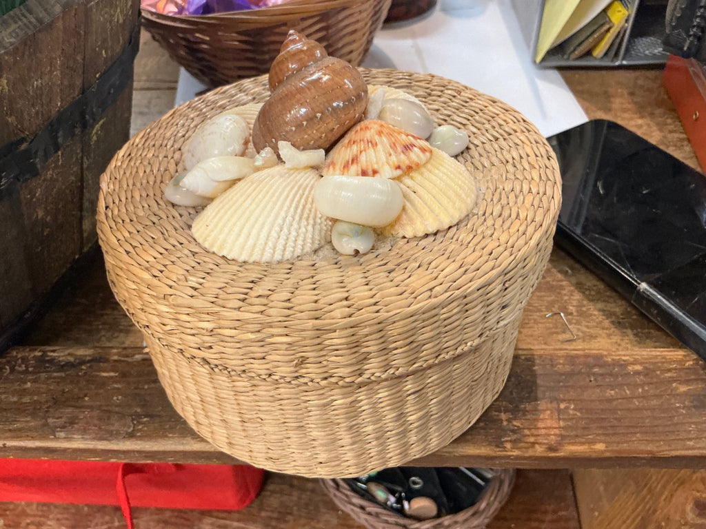 Decorative shell wicker small baset