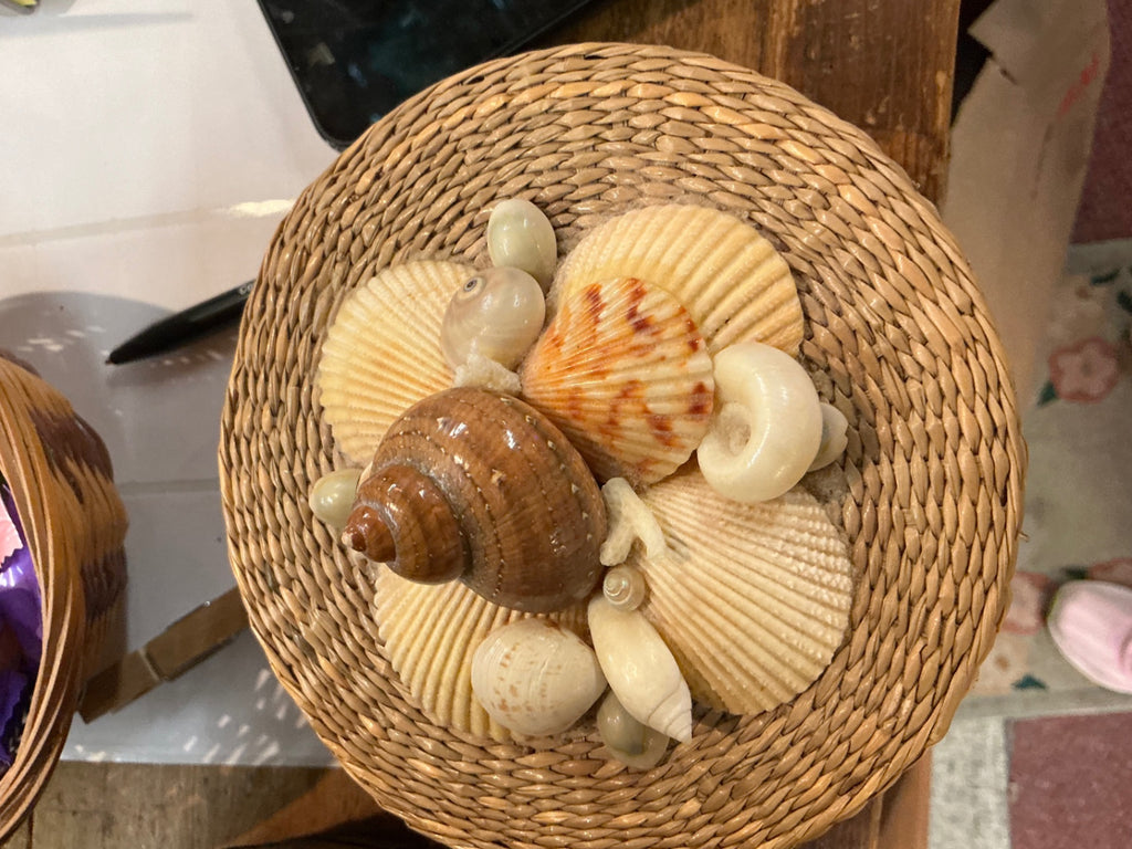 Decorative shell wicker small baset