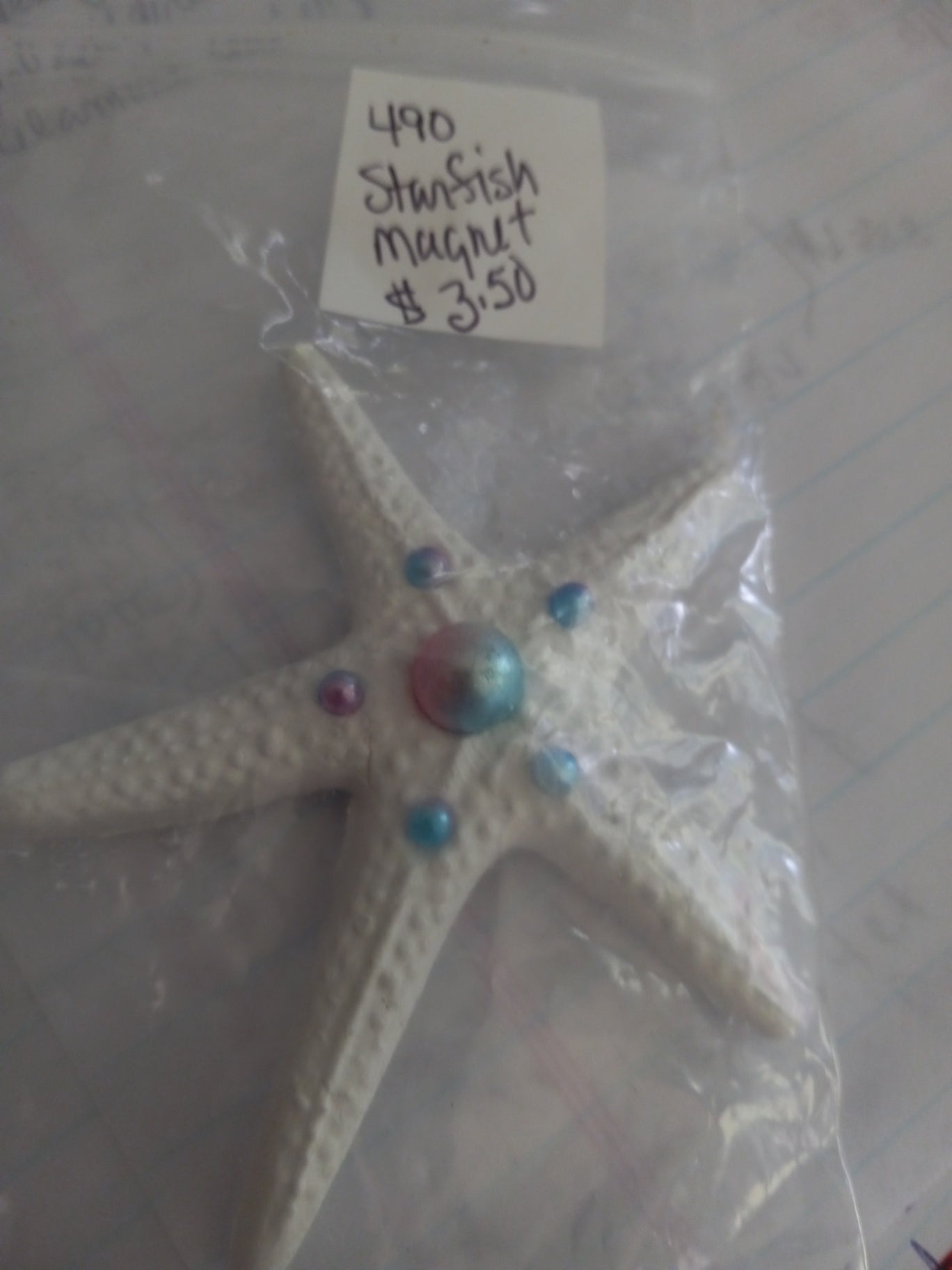 Starfish magnet clay dsc