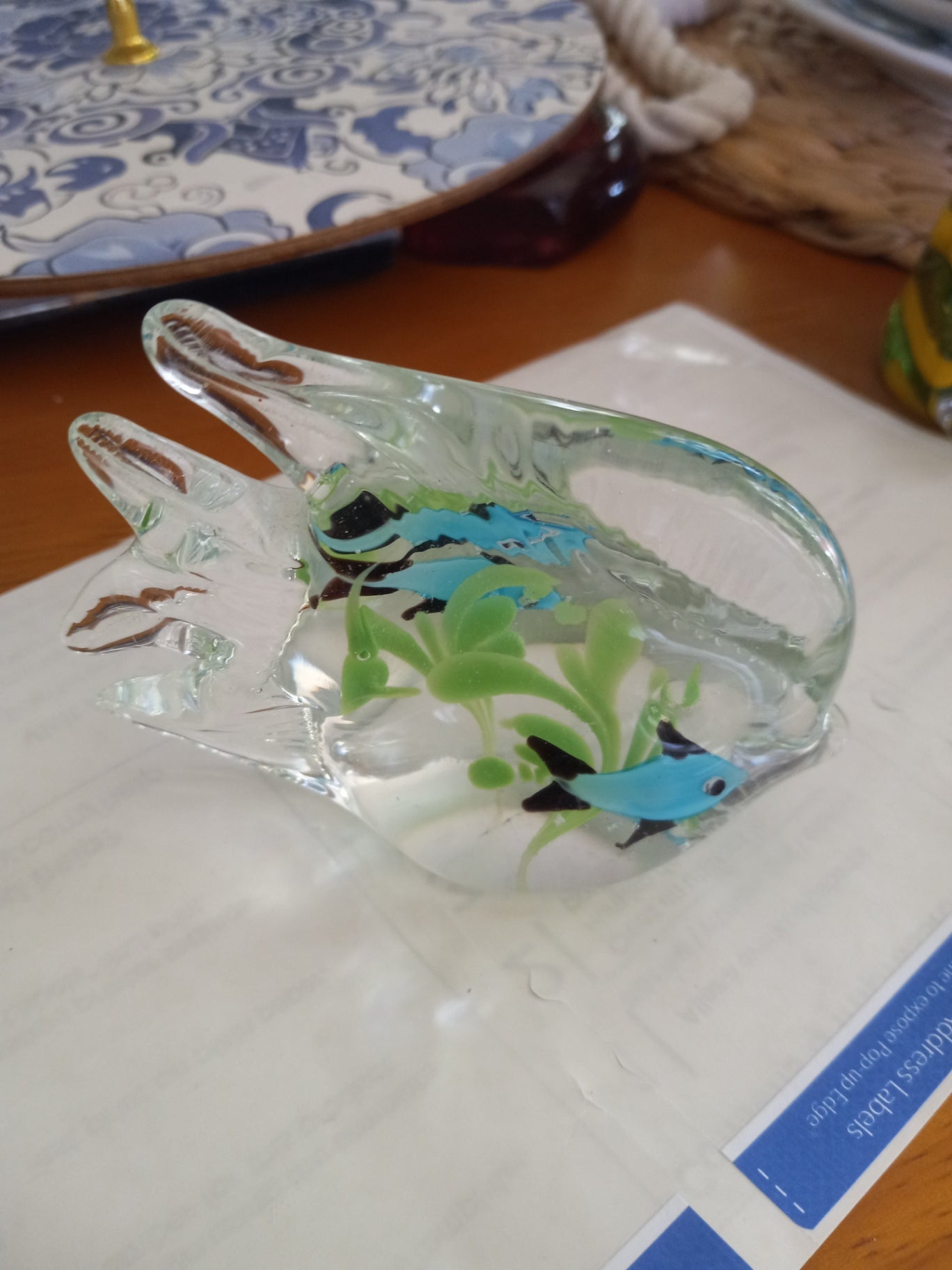 Sm glass fish dsc