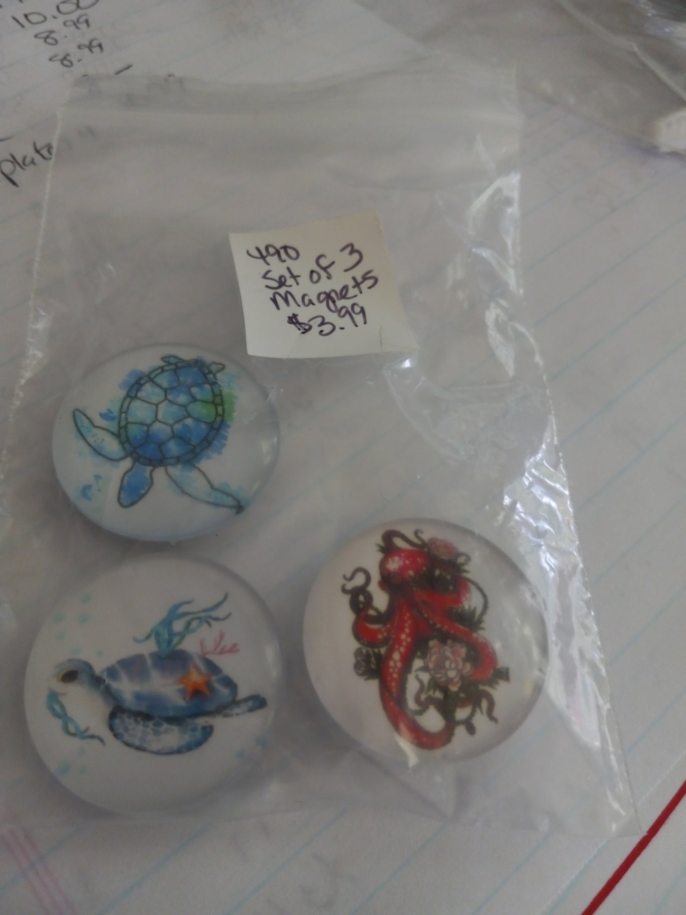3 sealife magnets dsc