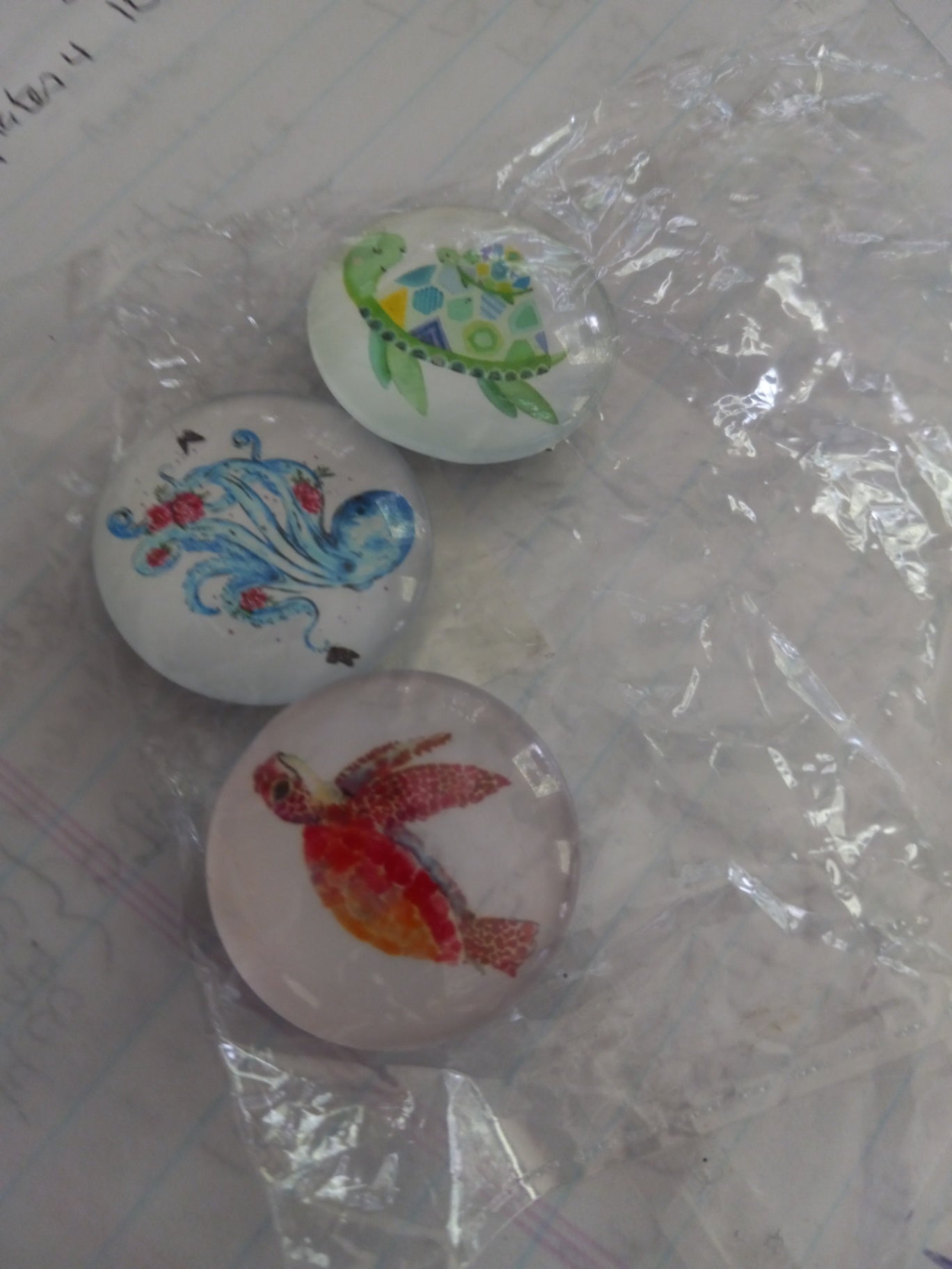 Sealife magnets 3 dsc