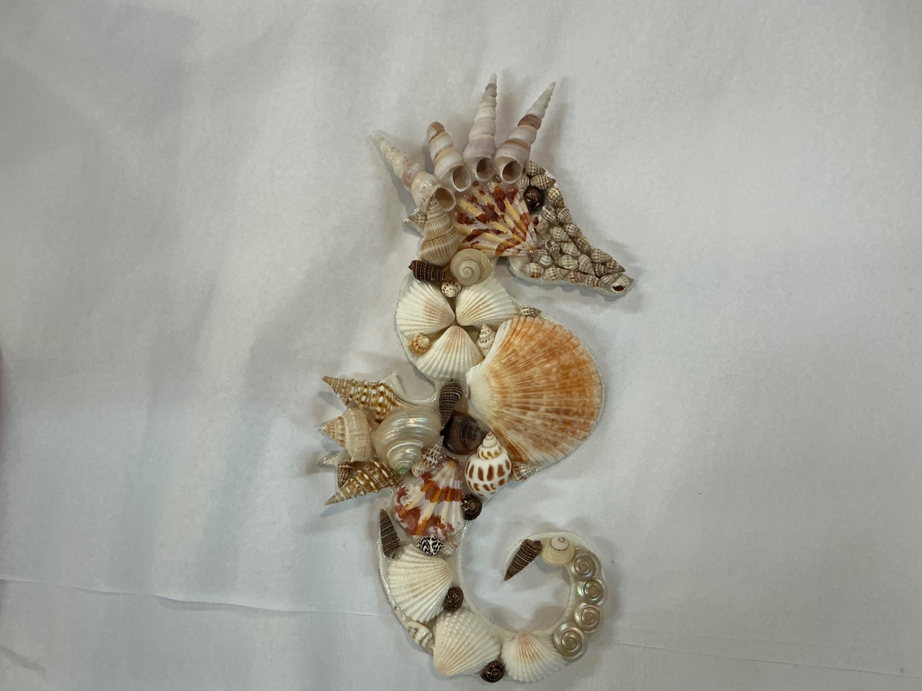 Decorative Seahorse Wall Hanging Beige and brown Shells