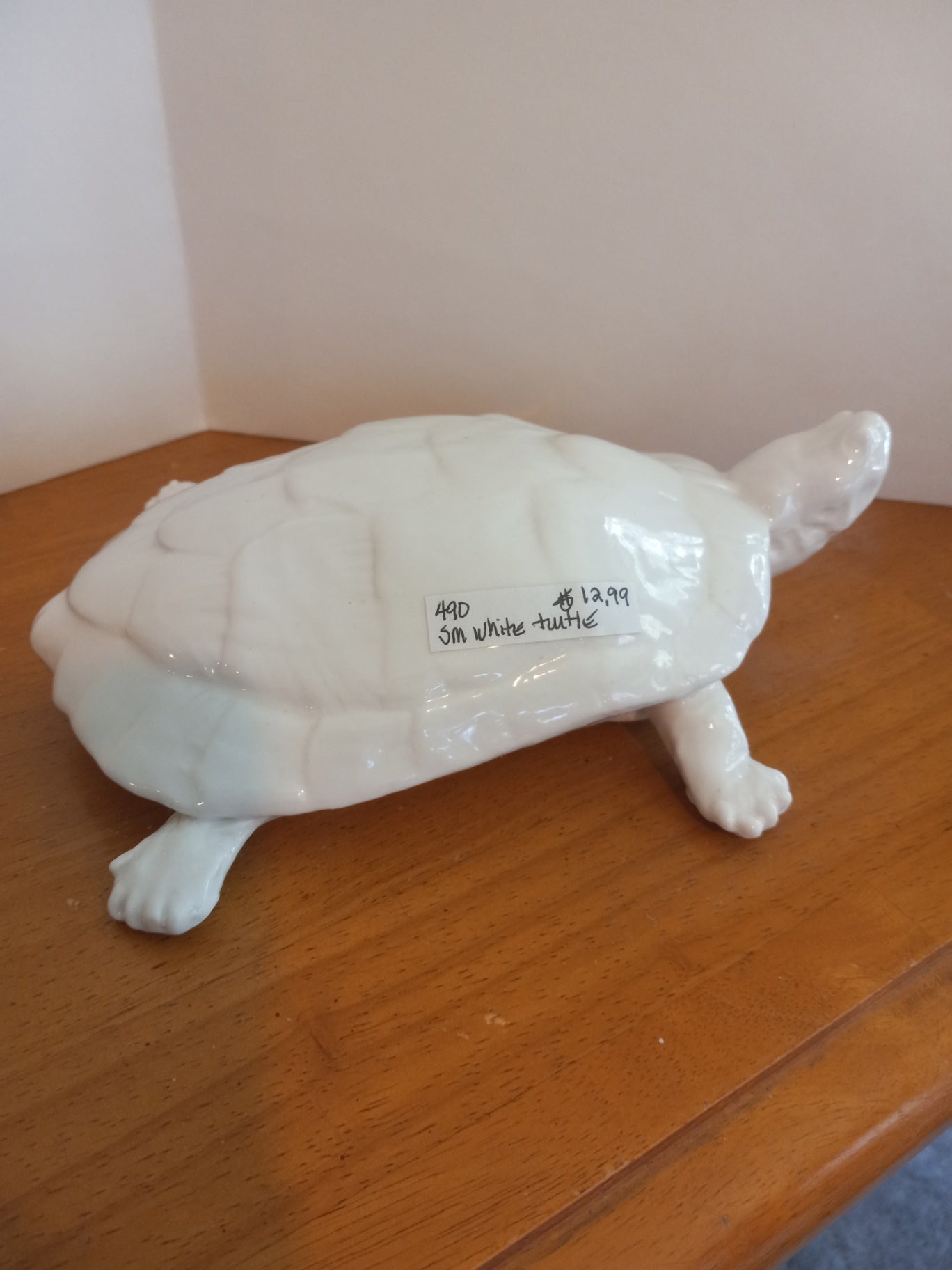 Ceramic turtle dsc