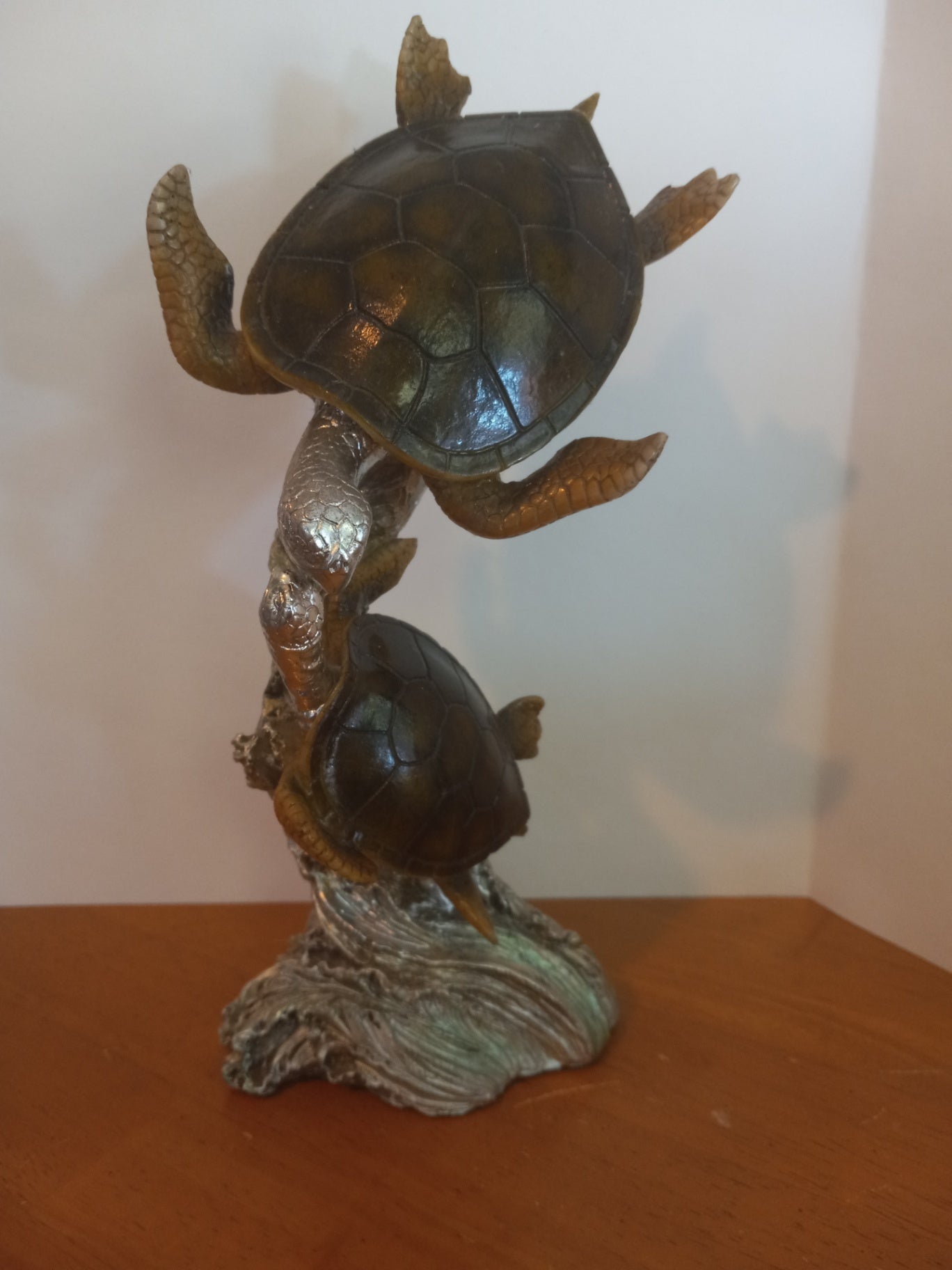 Turtle duet