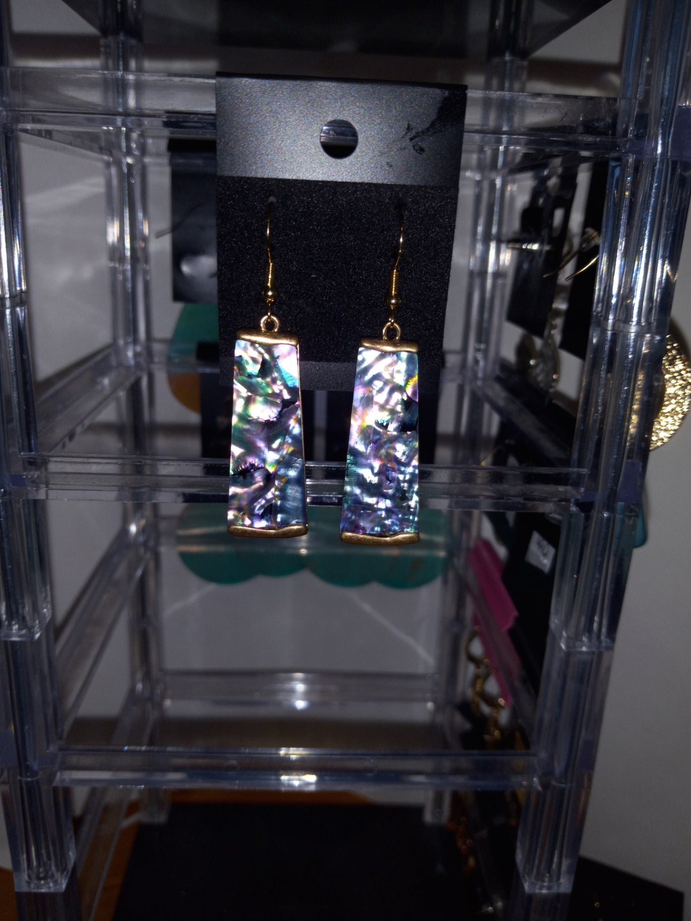 Abalone type earrings dsc 