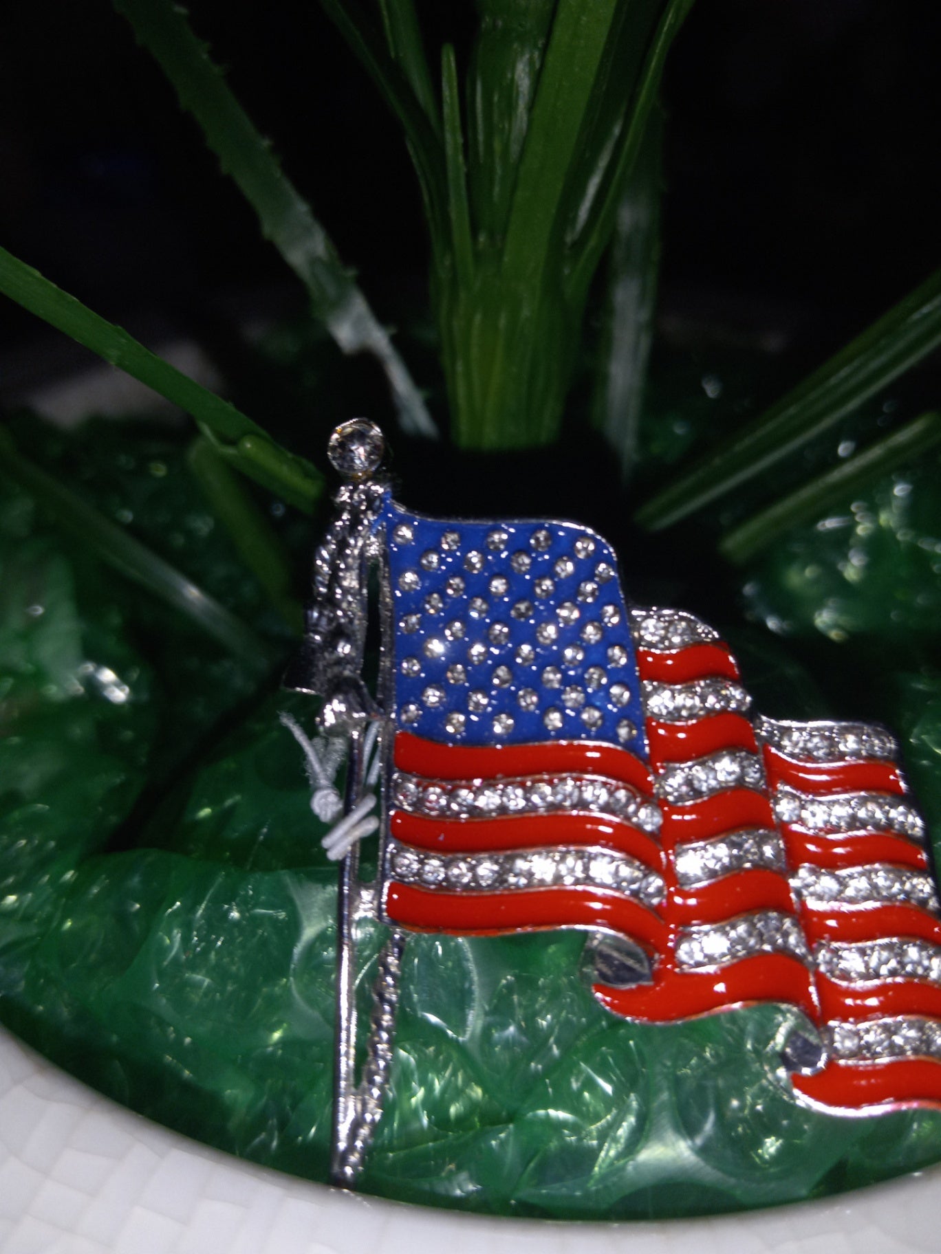 American flag pin dsc