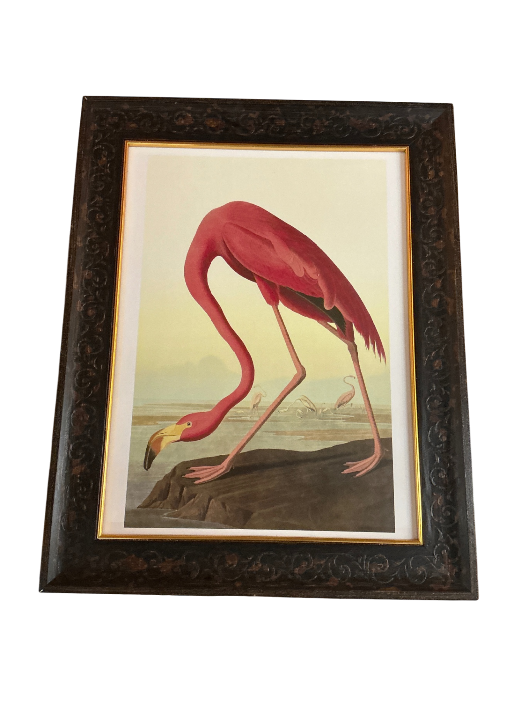 Framed Audubon Flamingo Print (likely a reproduction of “American Flamingo” by John James Audubon)