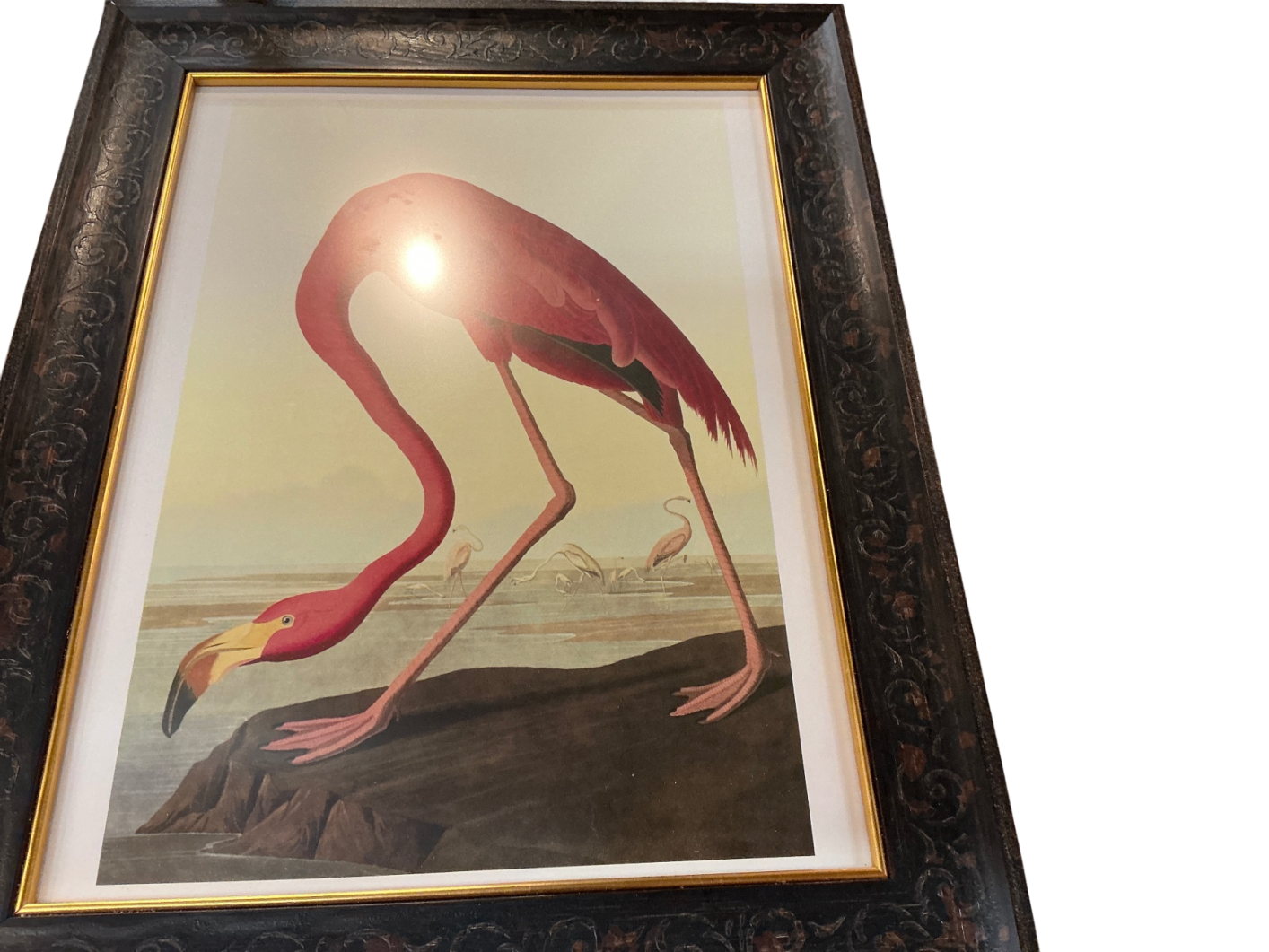 Pink Flamingo Art