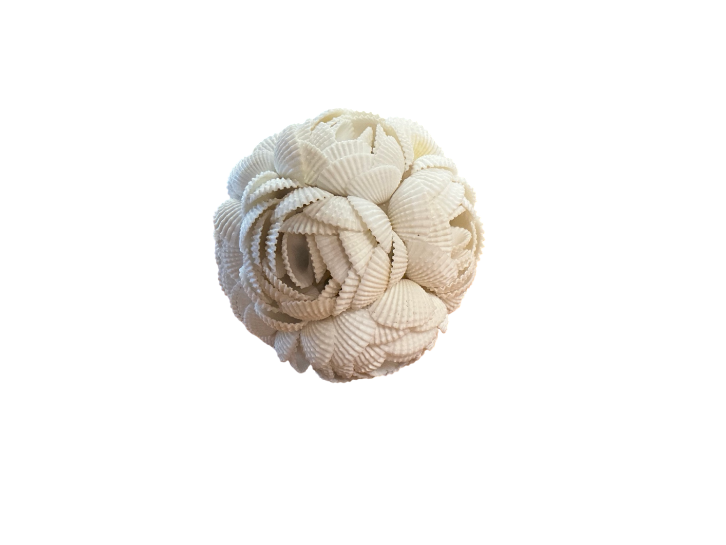 Shell Ball measuring 4 inches round