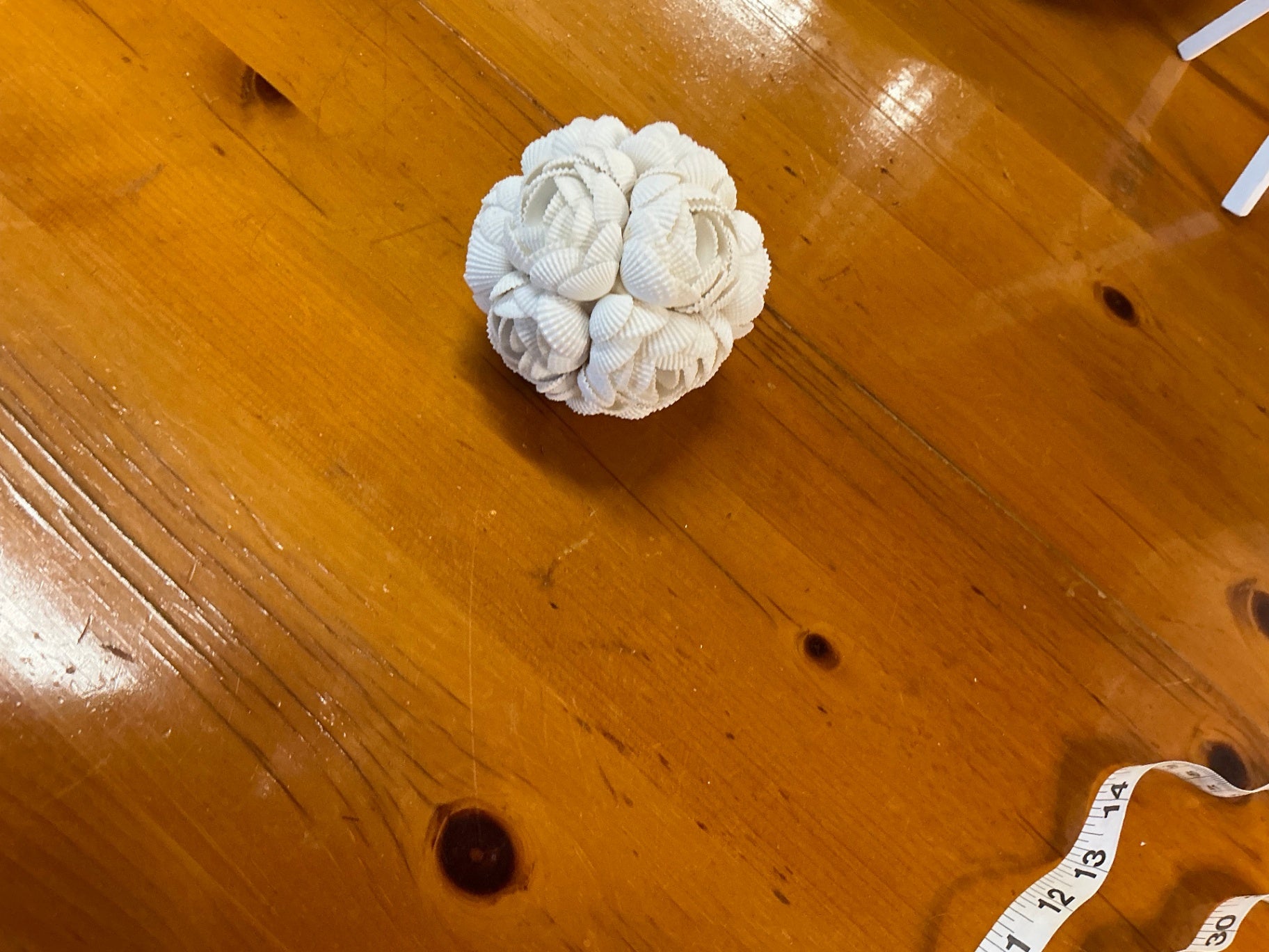 Shell Ball measuring 4 inches round