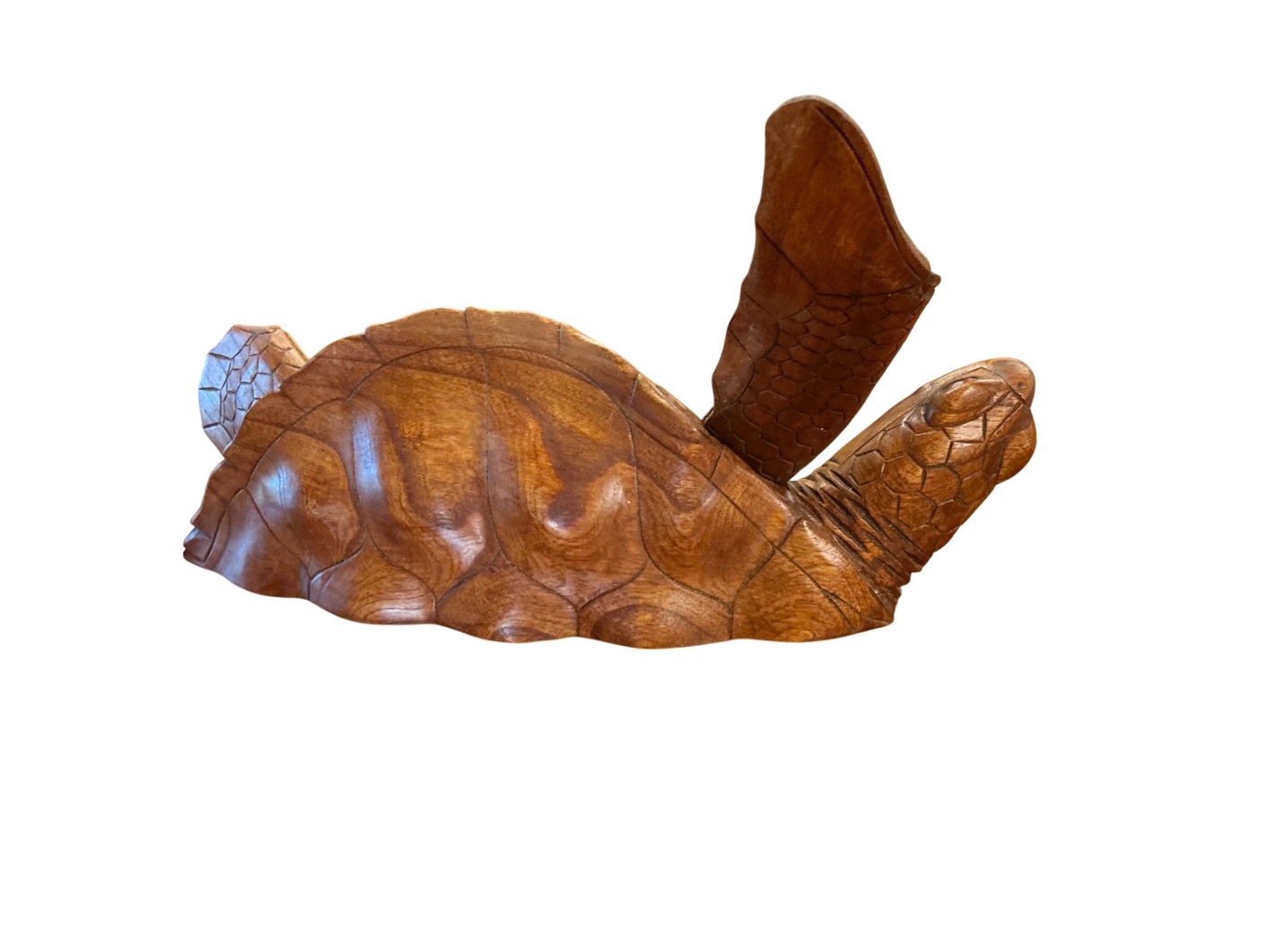 Decorative Turtle Wall Hanging Beige and White Wood