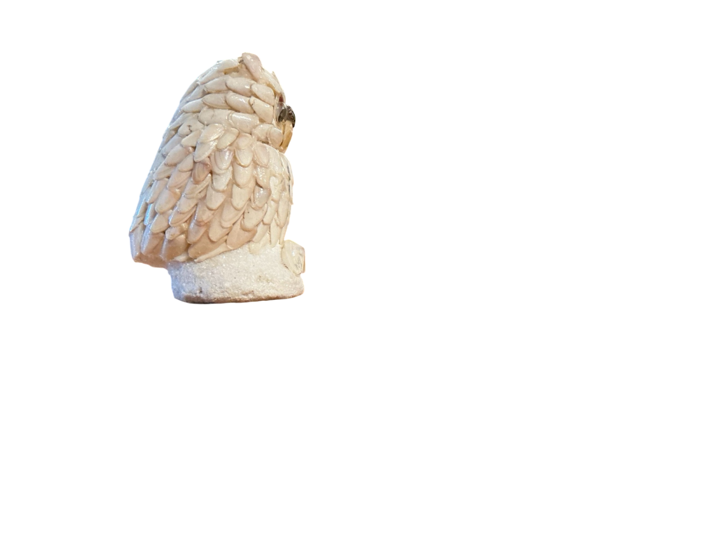 Decorative Owl Figurine Beige/Off-white Shell Small