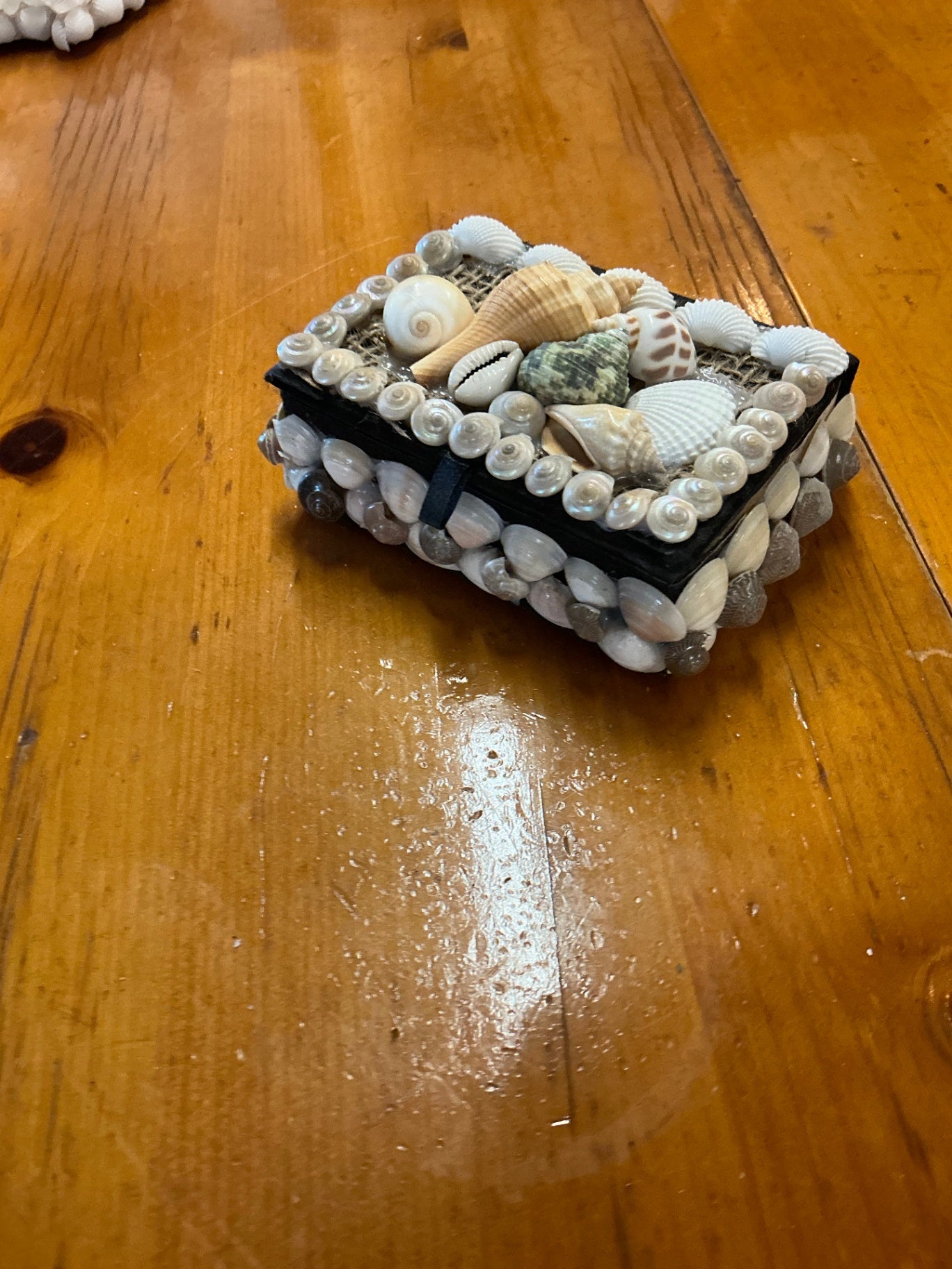 Jewelry Box, Trinket Box Shell Decor Measures 5"x4"x2"