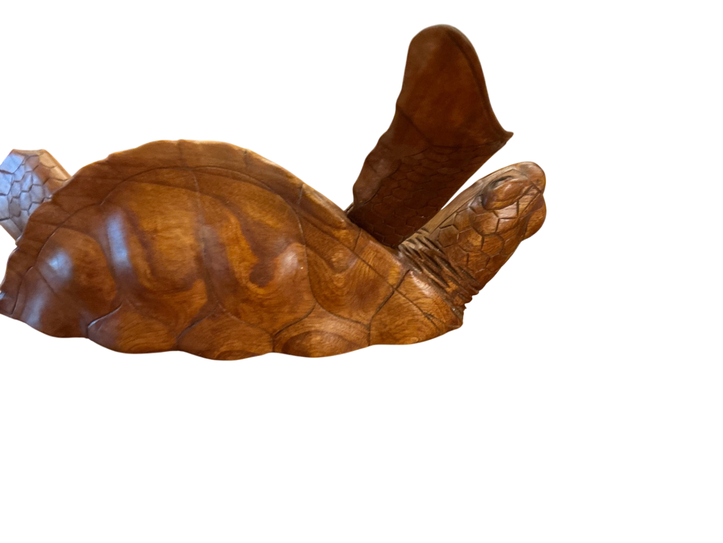 Decorative Turtle Wall Hanging Beige and White Wood