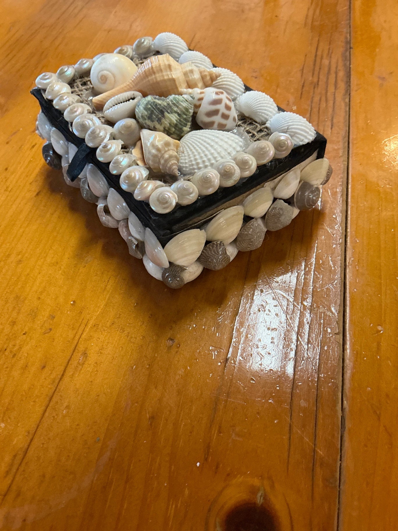 Jewelry Box, Trinket Box Shell Decor Measures 5"x4"x2"