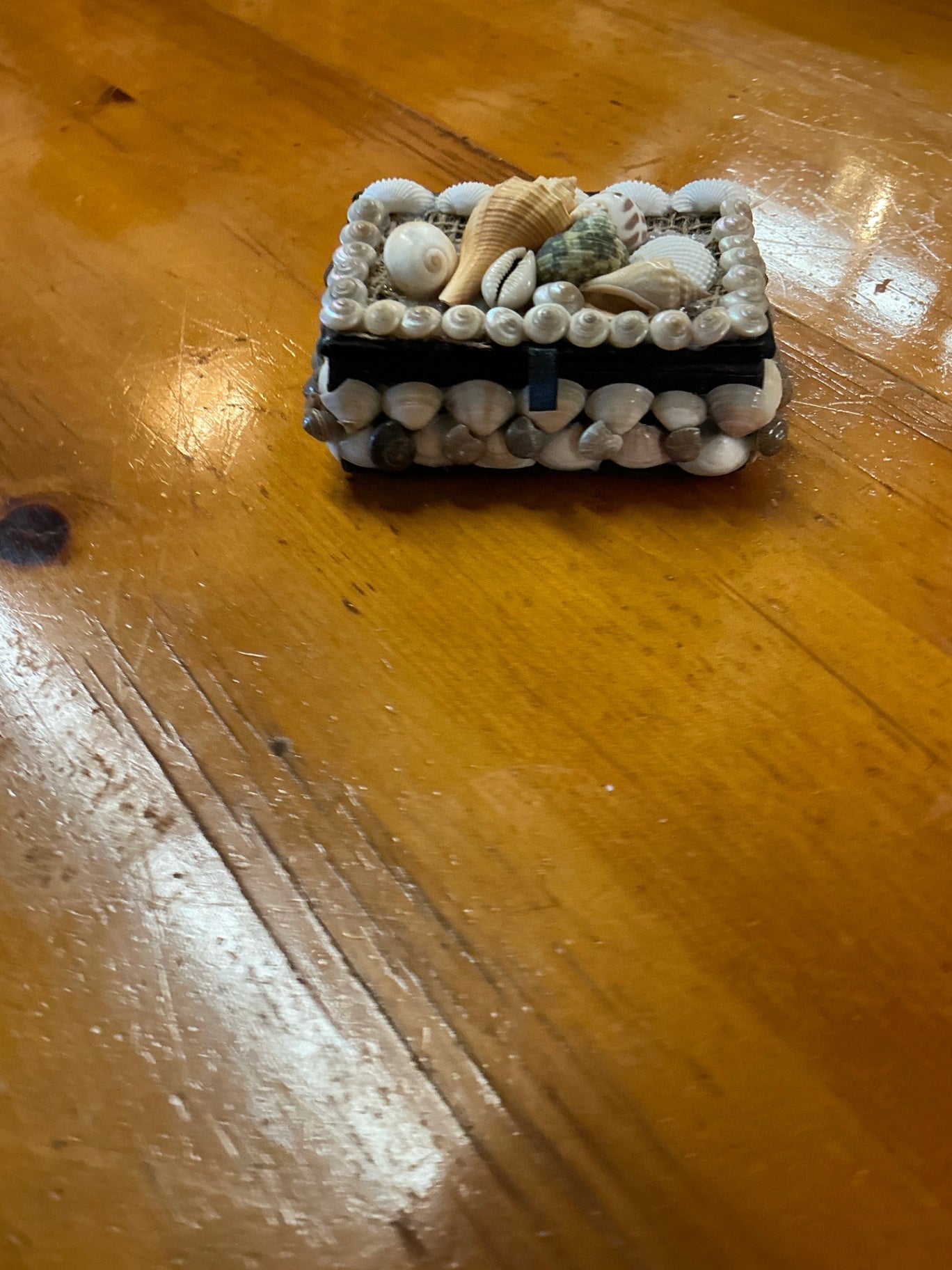 Jewelry Box, Trinket Box Shell Decor Measures 5"x4"x2"