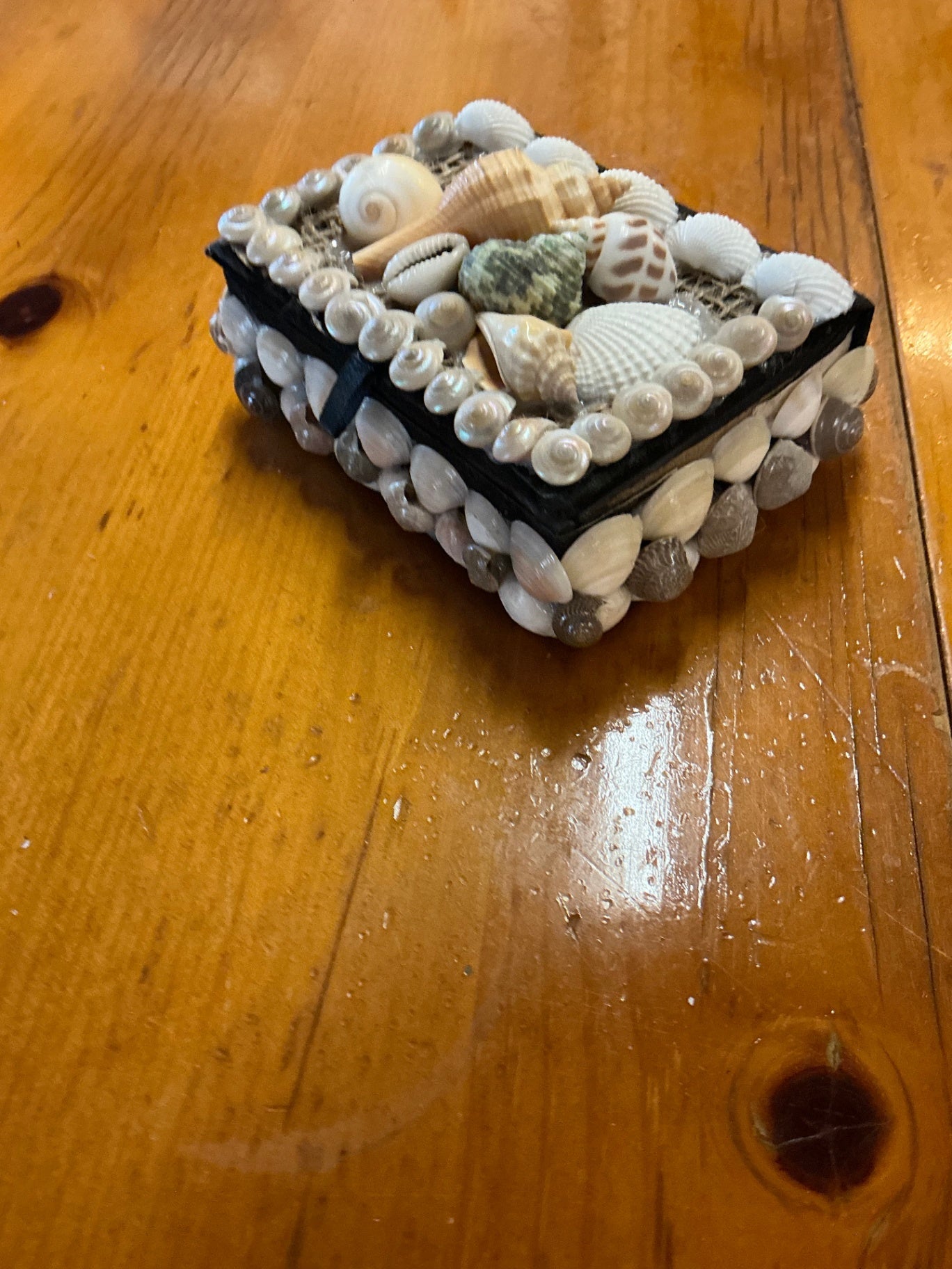 Jewelry Box, Trinket Box Shell Decor Measures 5"x4"x2"