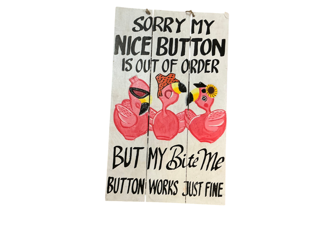 Sorry My Nice Button Is Out of Order Decorative Wall Hanging Multicolor Wood