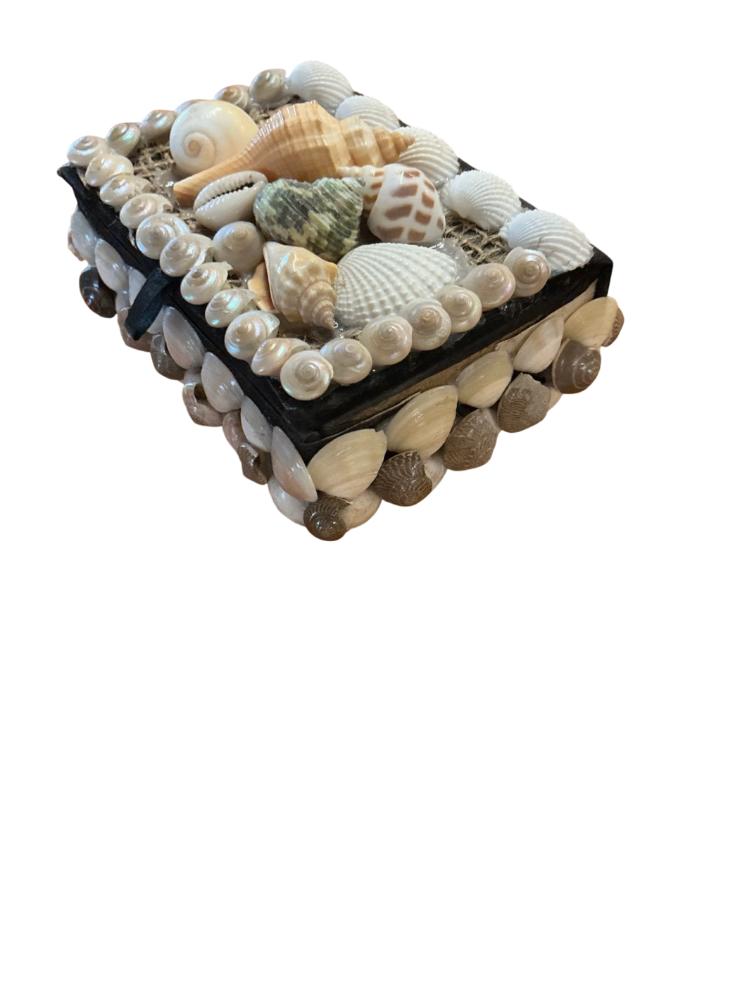 Jewelry Box, Trinket Box Shell Decor Measures 5"x4"x2"