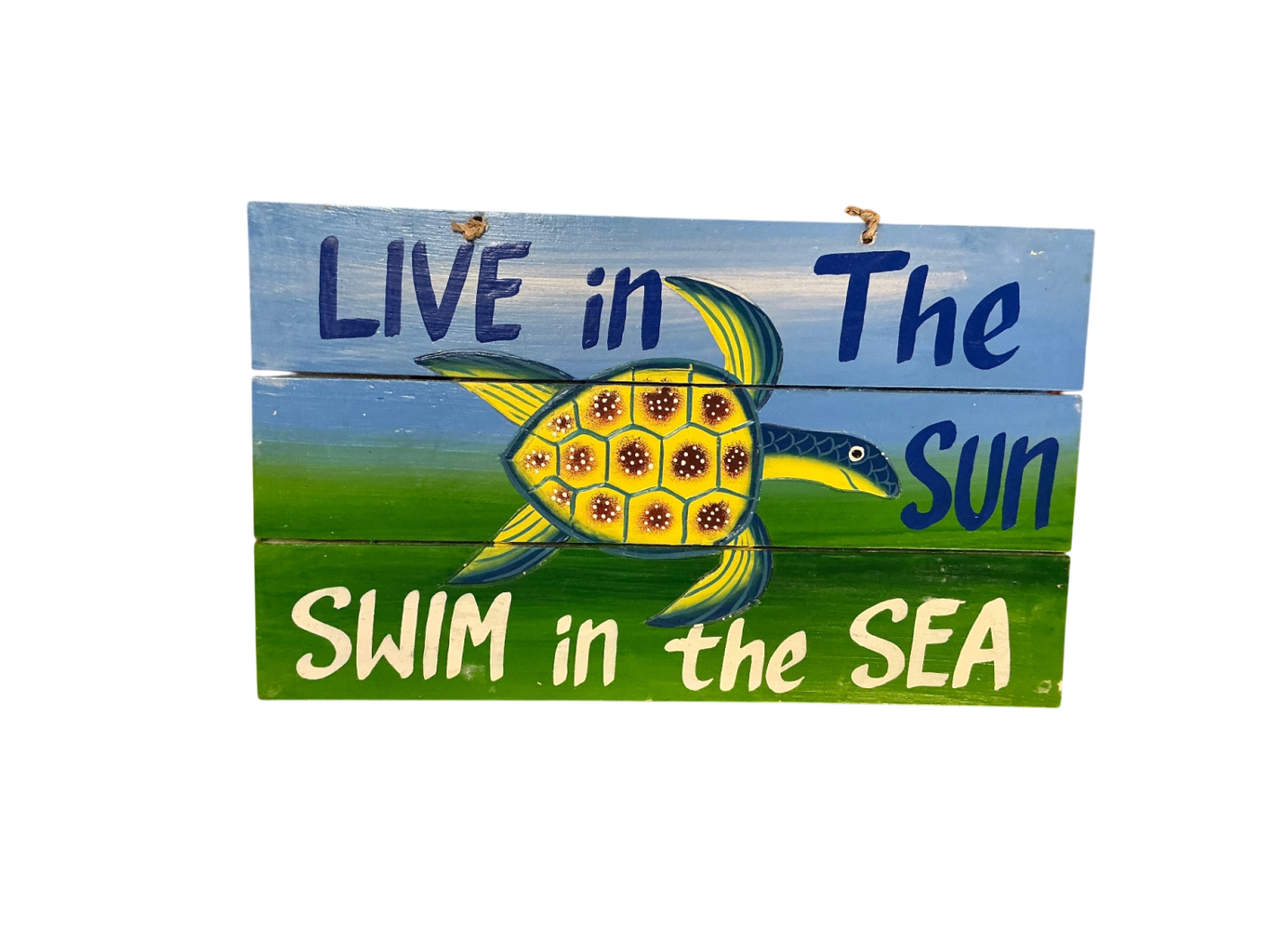 Live In The Sun Swim In the Sea Decorative Wall Hanging Multi-color Wood