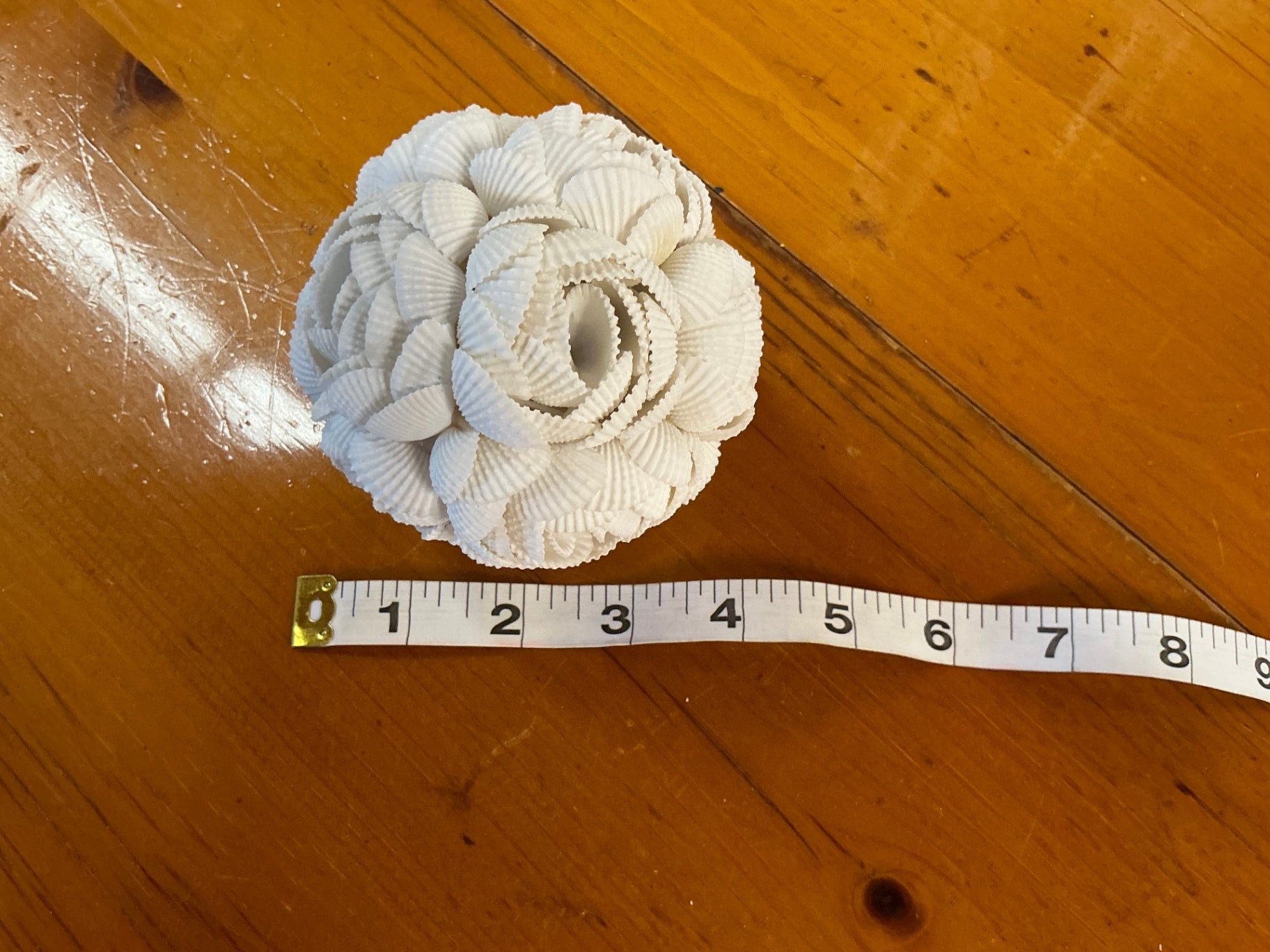 Shell Ball measuring 4 inches round