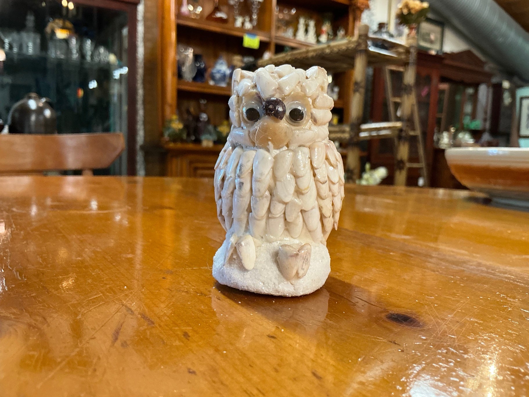 Decorative Owl Figurine Beige/Off-white Shell Small