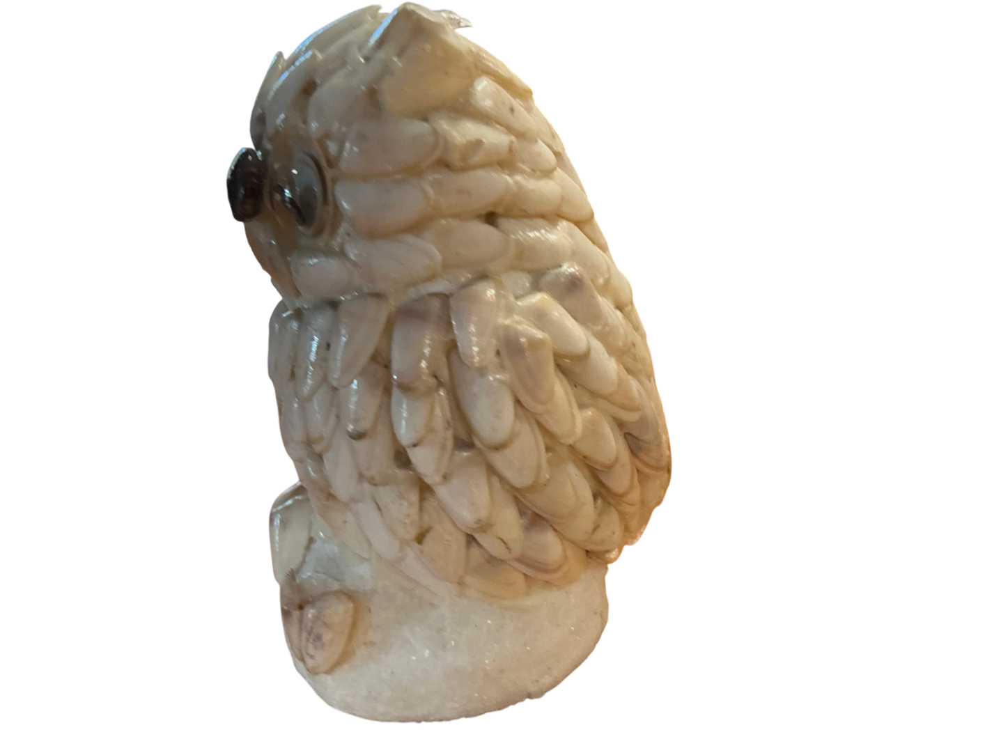 Decorative Owl Figurine Beige/Off-white Shell Small