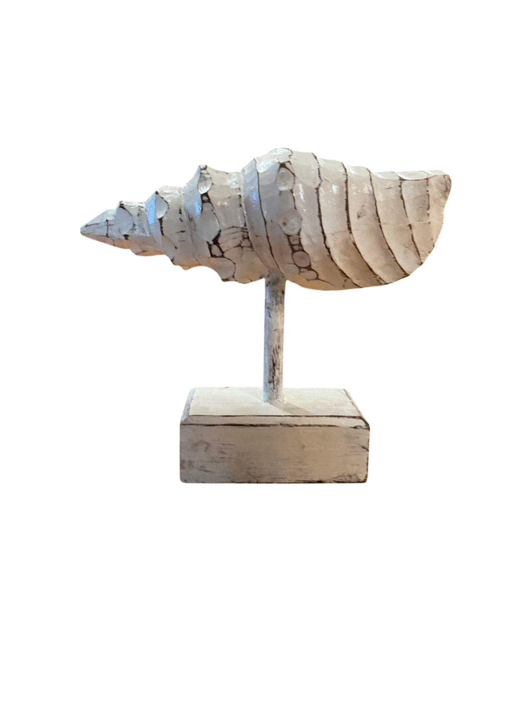 Decorative NAUTILUS SHELL sculpture Aqua Blue OR White Wood 9" X 8" X 4"
