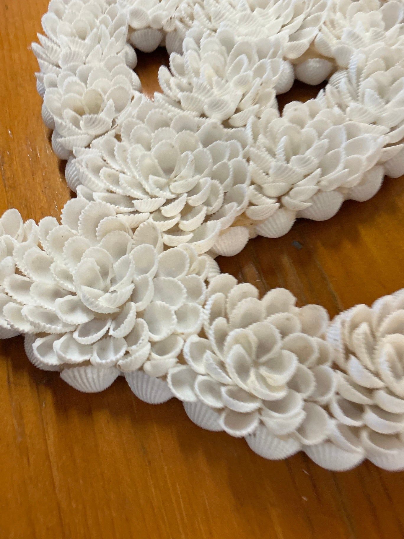Decorative Wall Hanging White Sea Shell Anchor Measures 16" x 13"