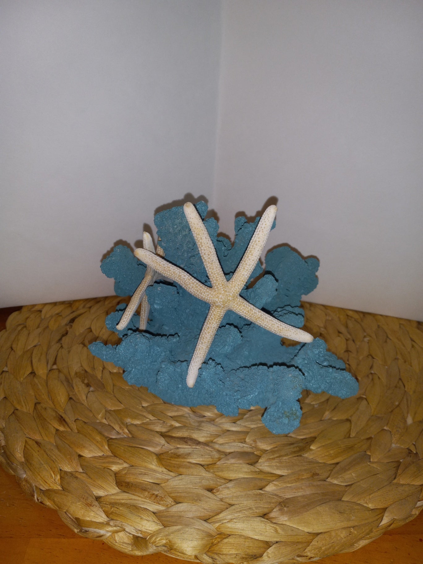 Finger starfish and blue coral dsc