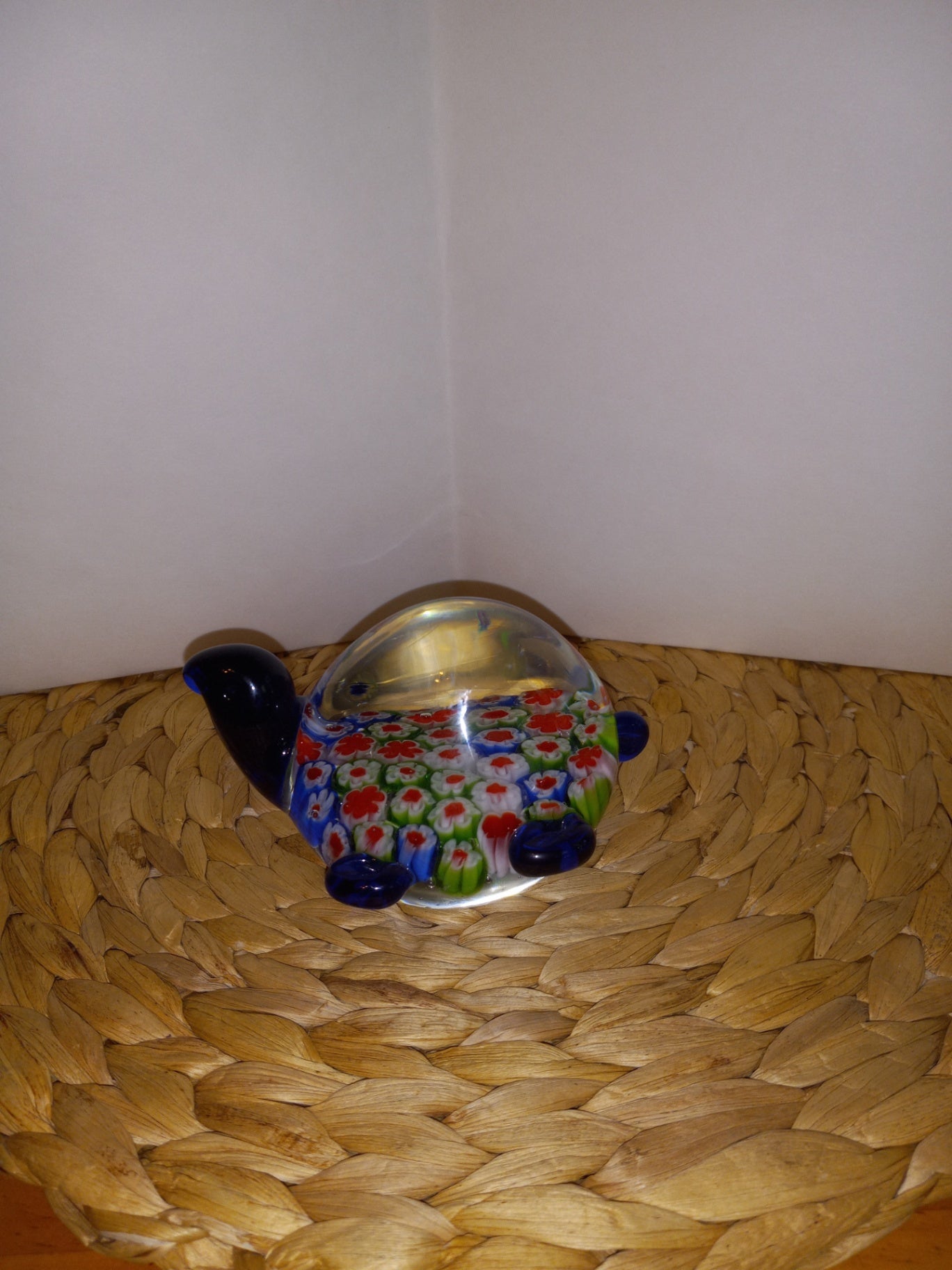 Murano milliflora turtle dsc