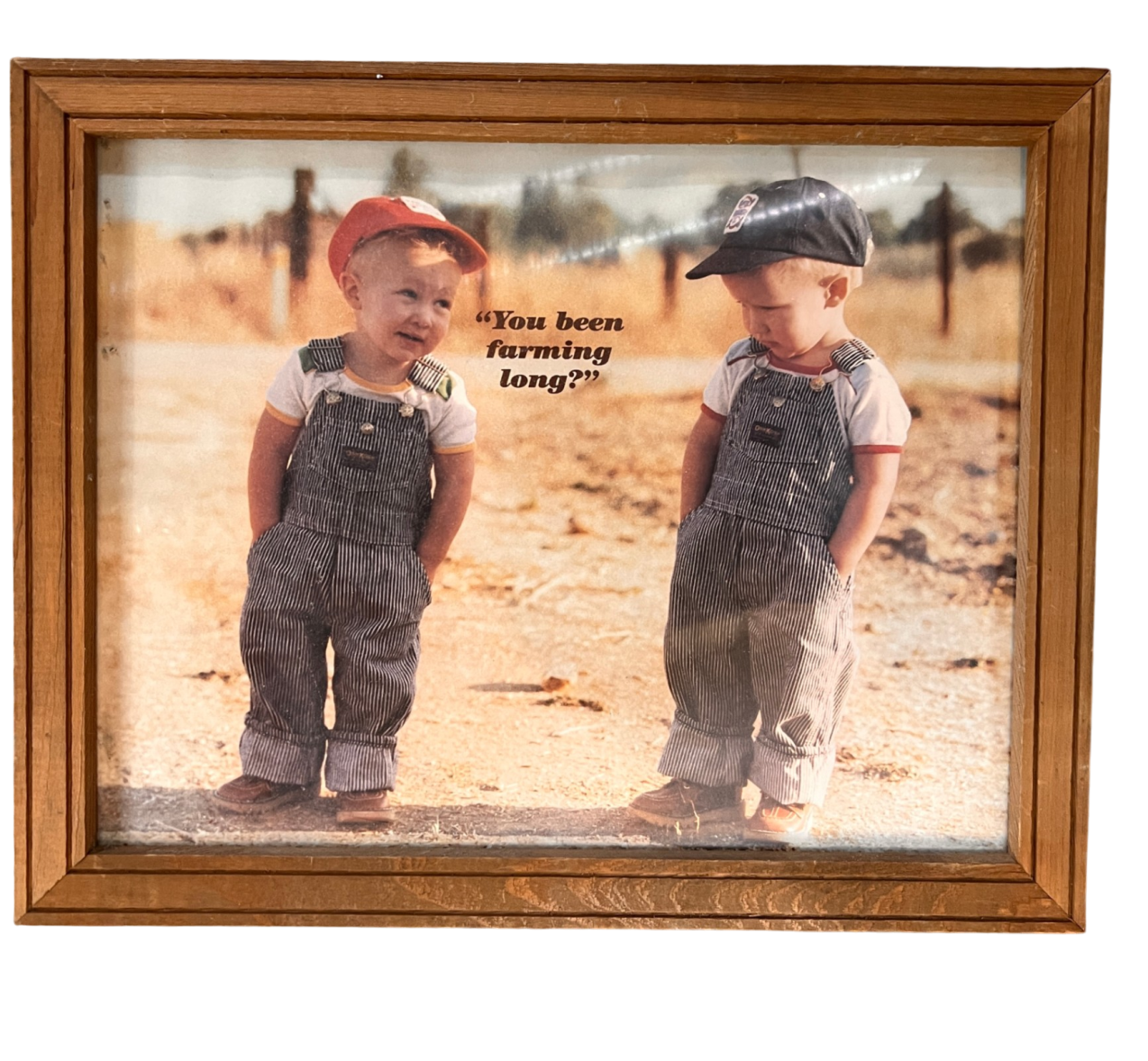 Been Farming Long Framed Print