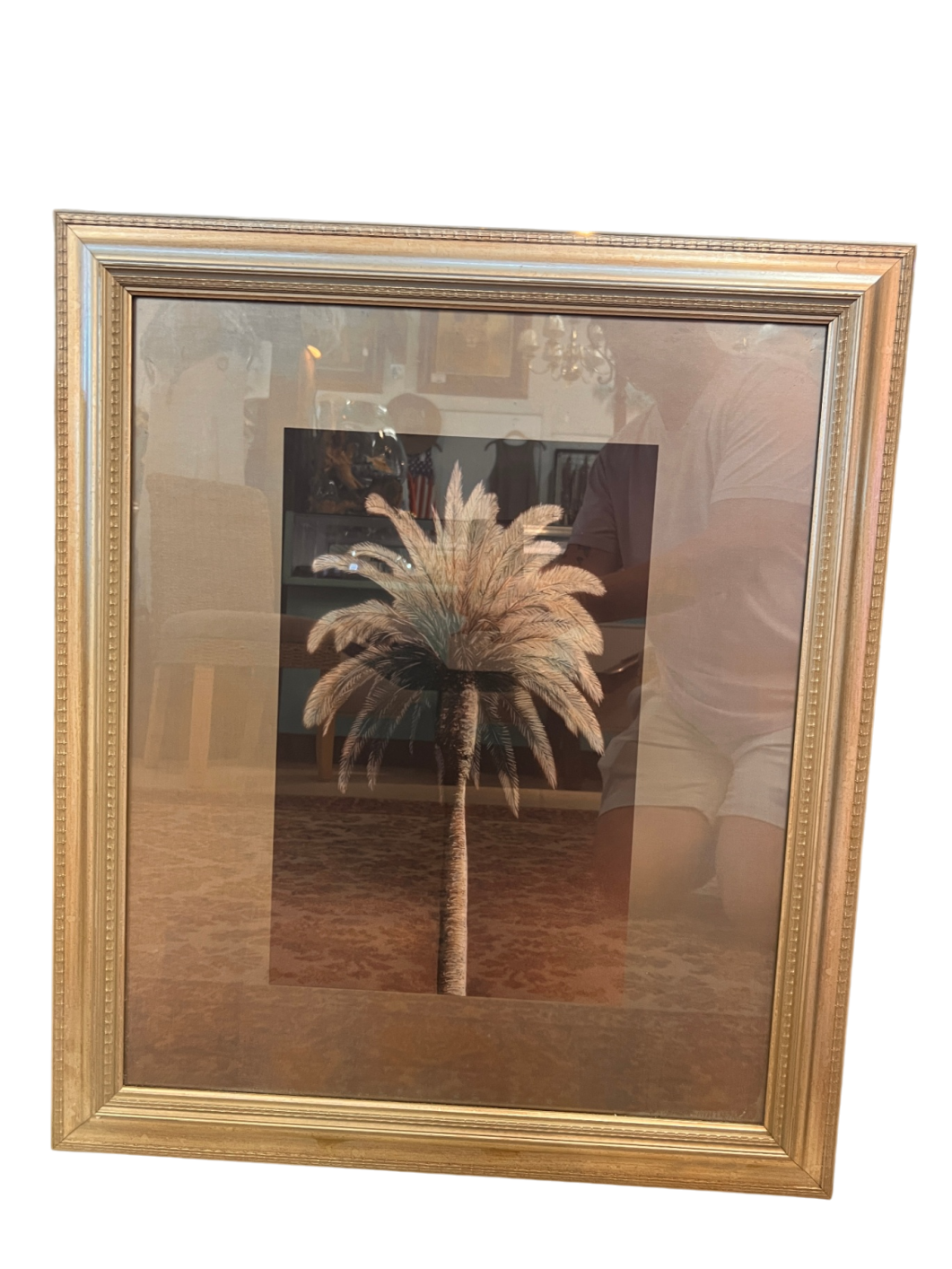 Modern Palm Tree Print – Framed Tropical Decor
