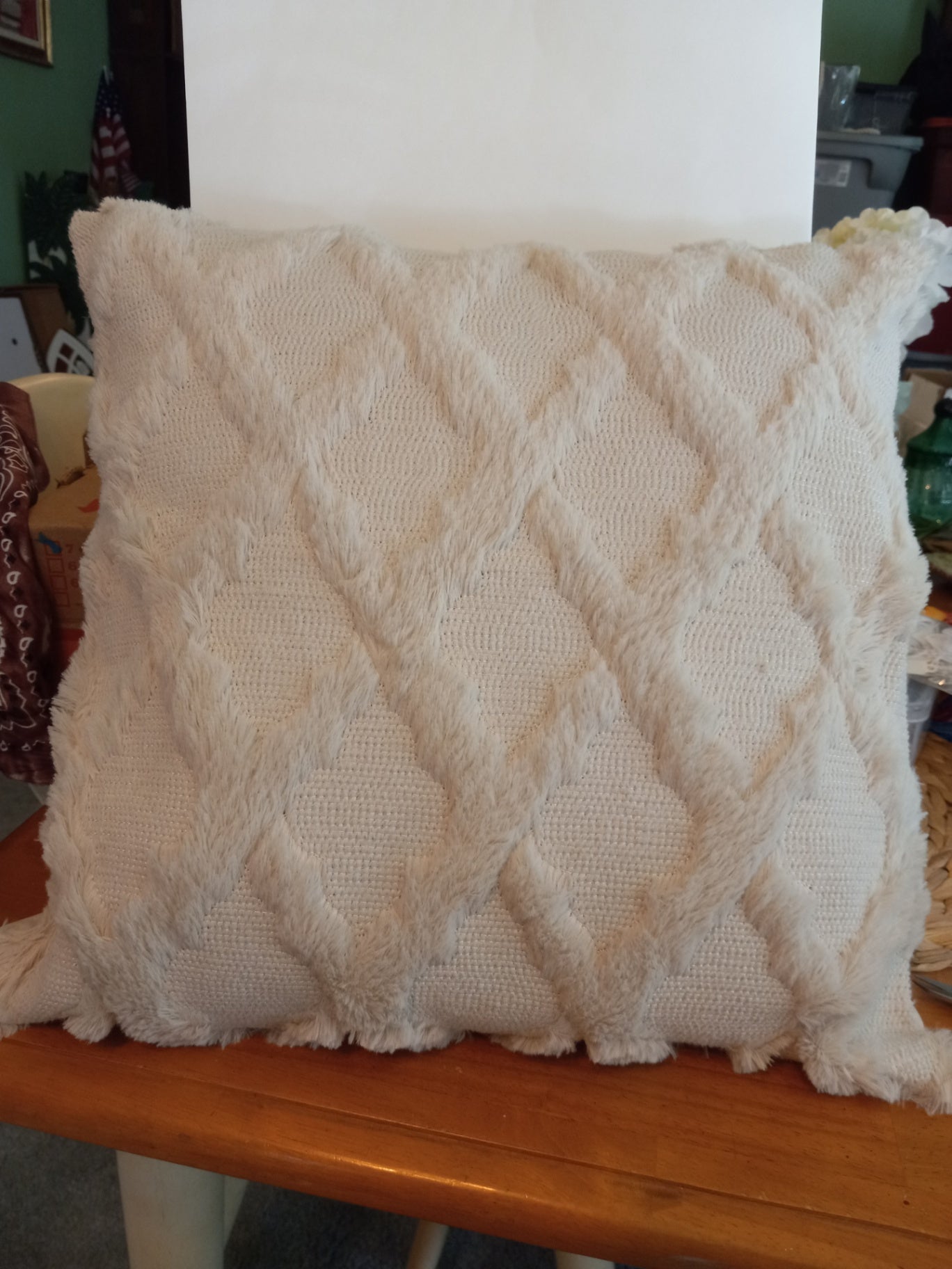Decorative Pillow Cream dsc