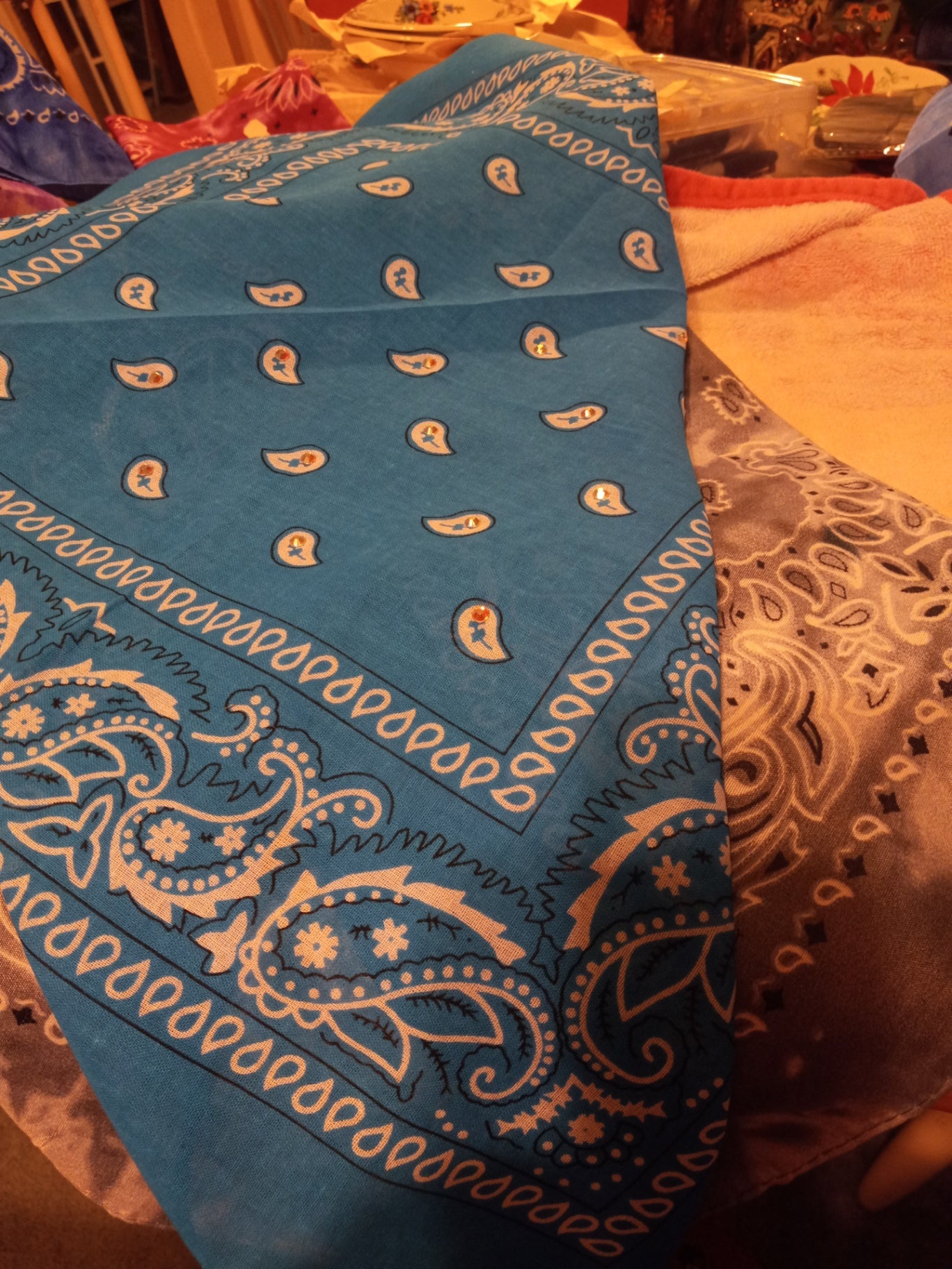 Teal Bandana dsc