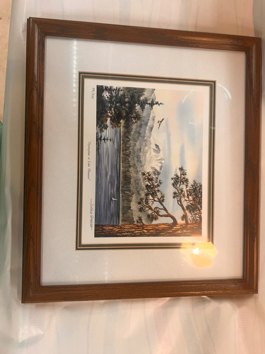 Debbie Groesser “Springtime at Lake Almanor” Limited Edition Print 88/500 – Framed Nature Artwork