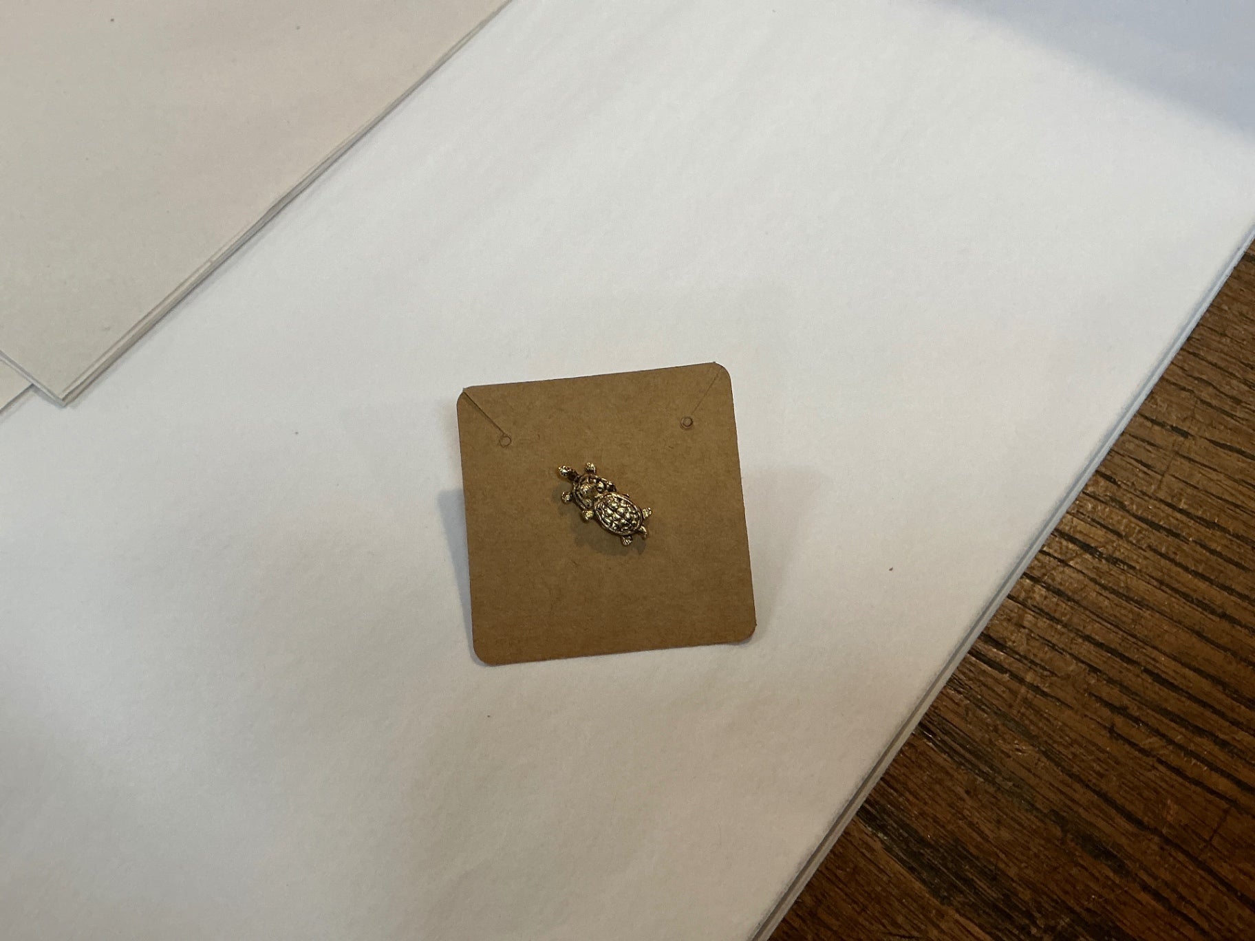 Turtle pin