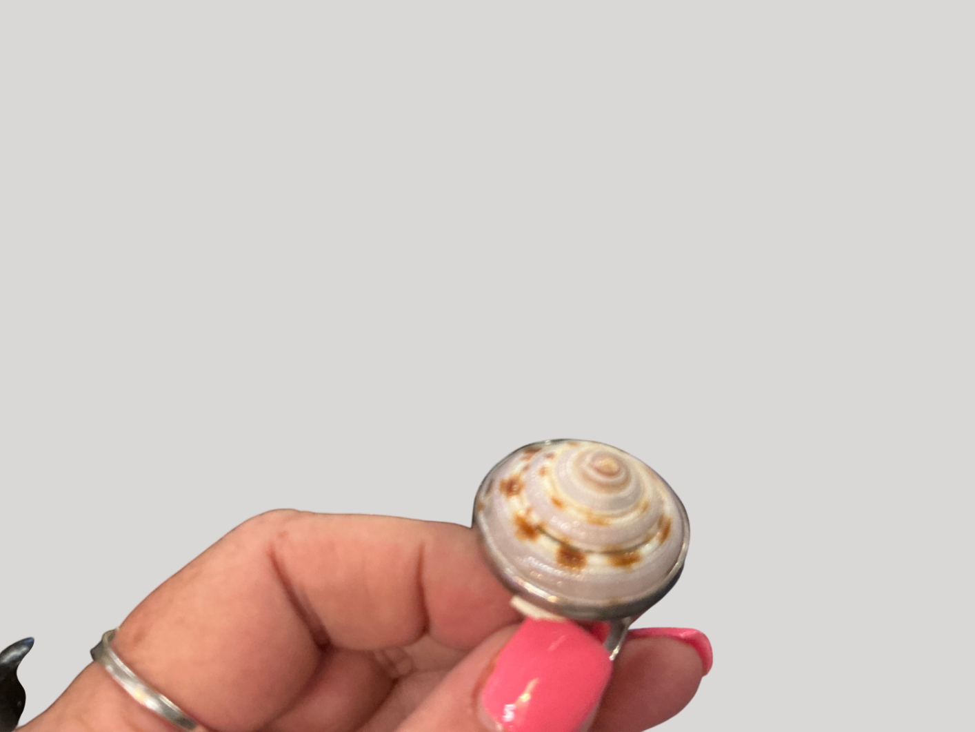 Shell ring 