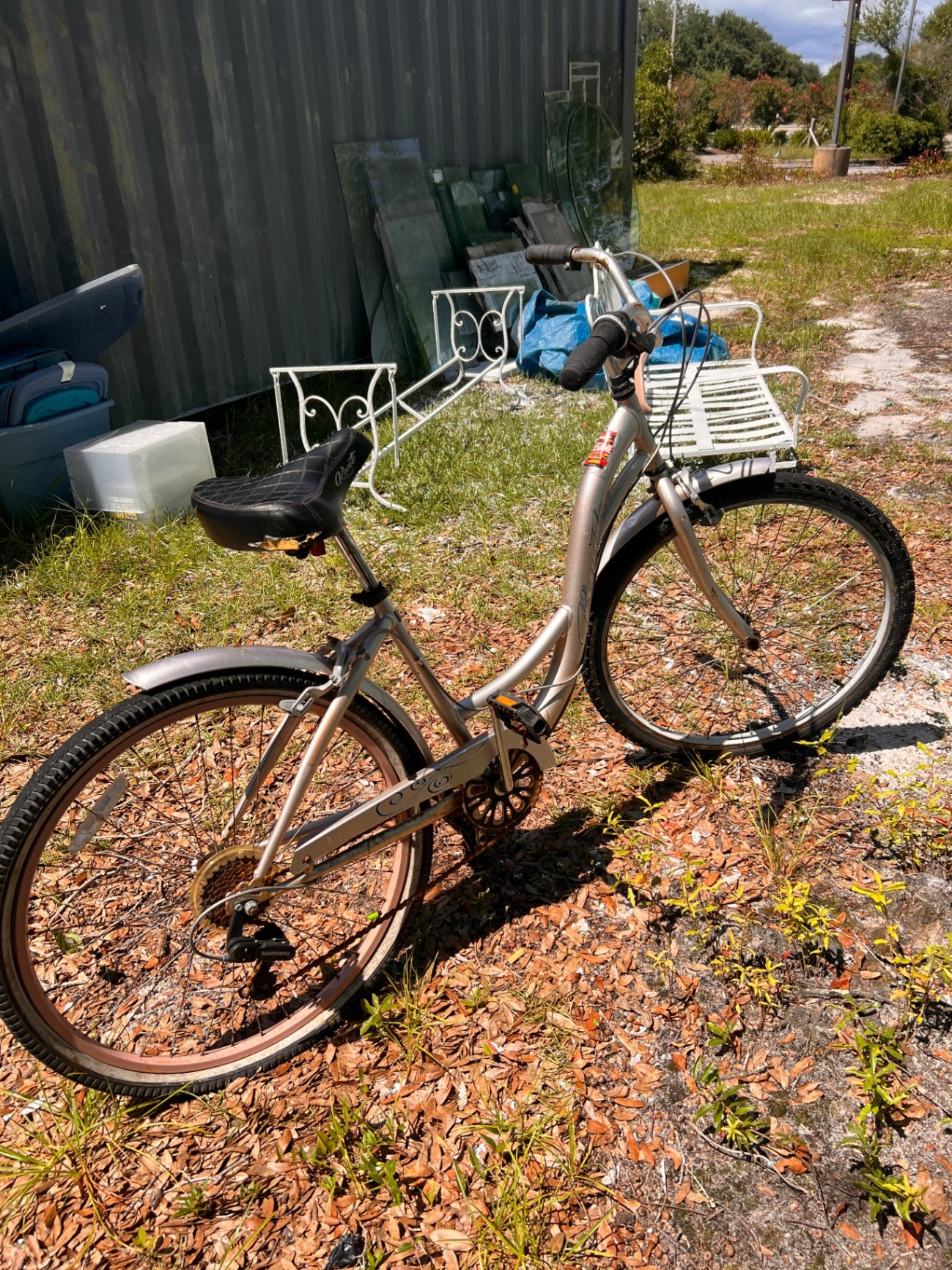 Four Loko Cruiser – The Bike That Refused to Die (Unfortunately)